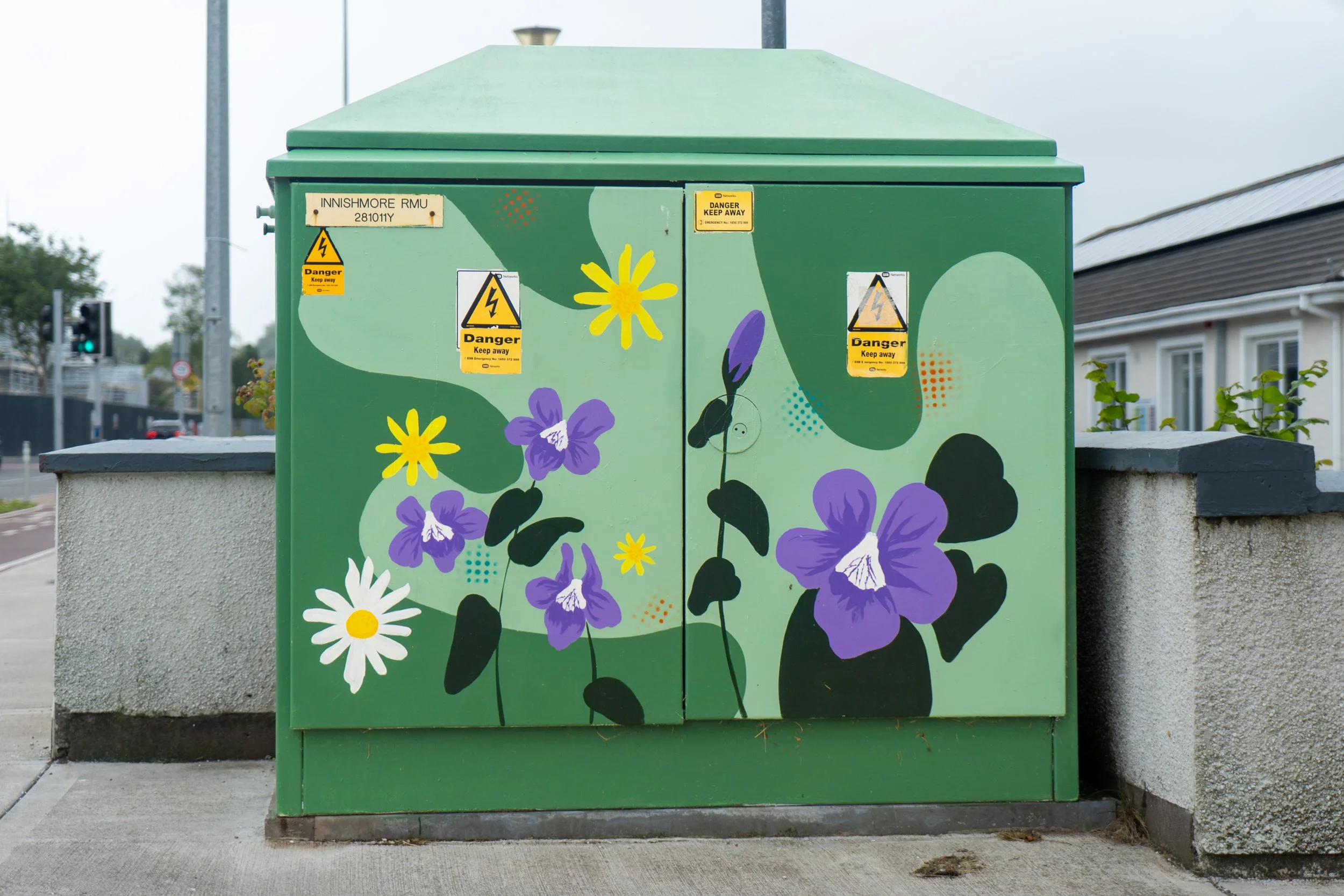 Brightening Ballincollig: One Utility Box at a Time