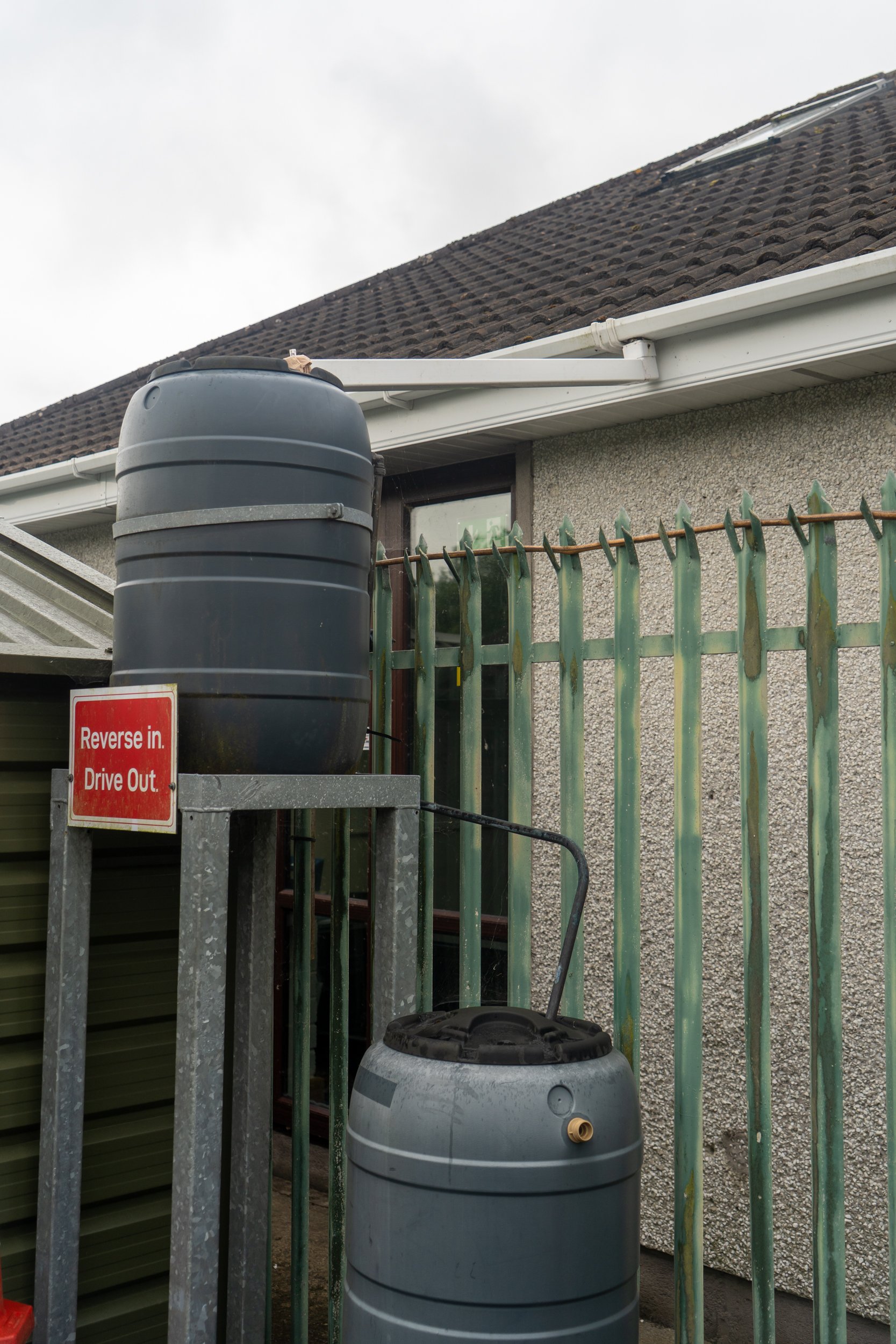 2026-5-29 TidyTowns Yard-23.jpg