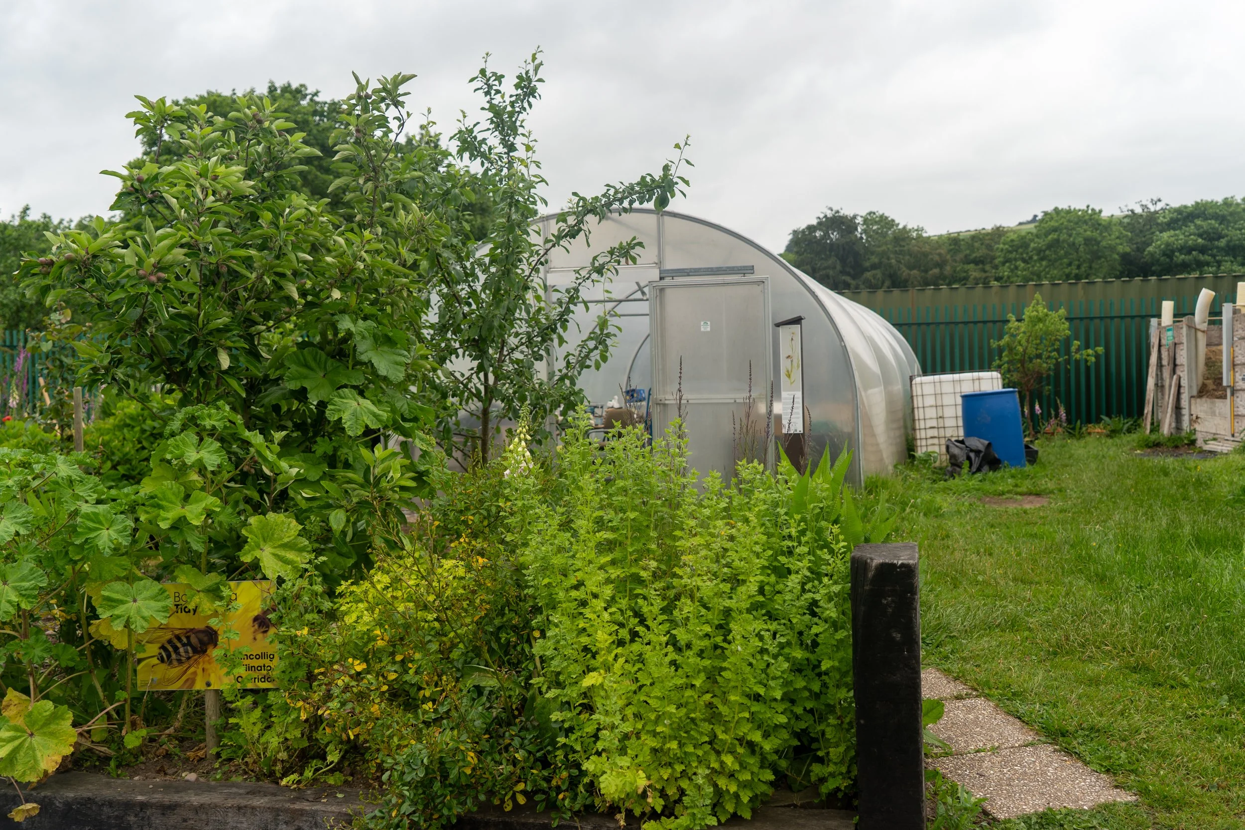 BTT Headquarters Polytunnel