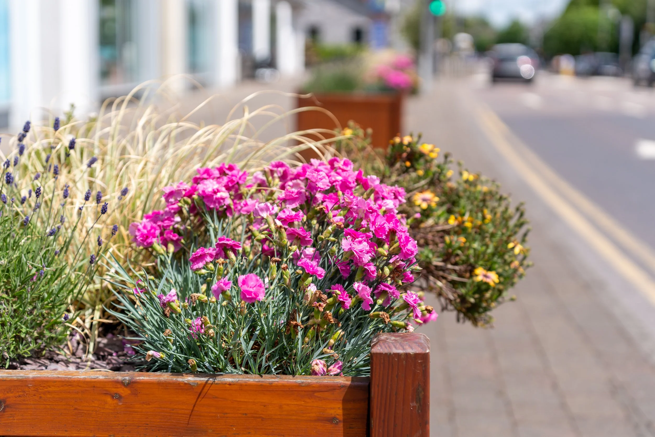 Wooden Flower Planters along Main Street Ballincollig