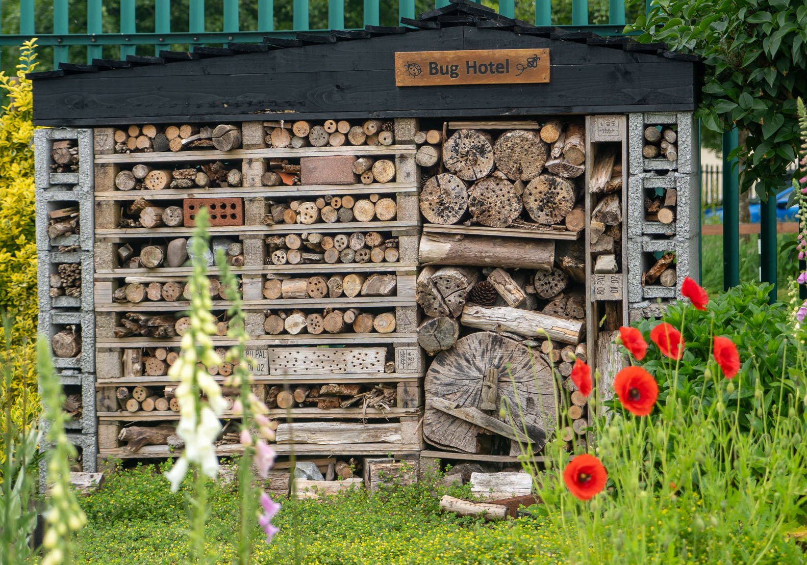 Bug Hotel