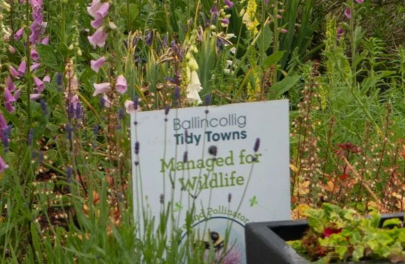 managed for wildlife sign