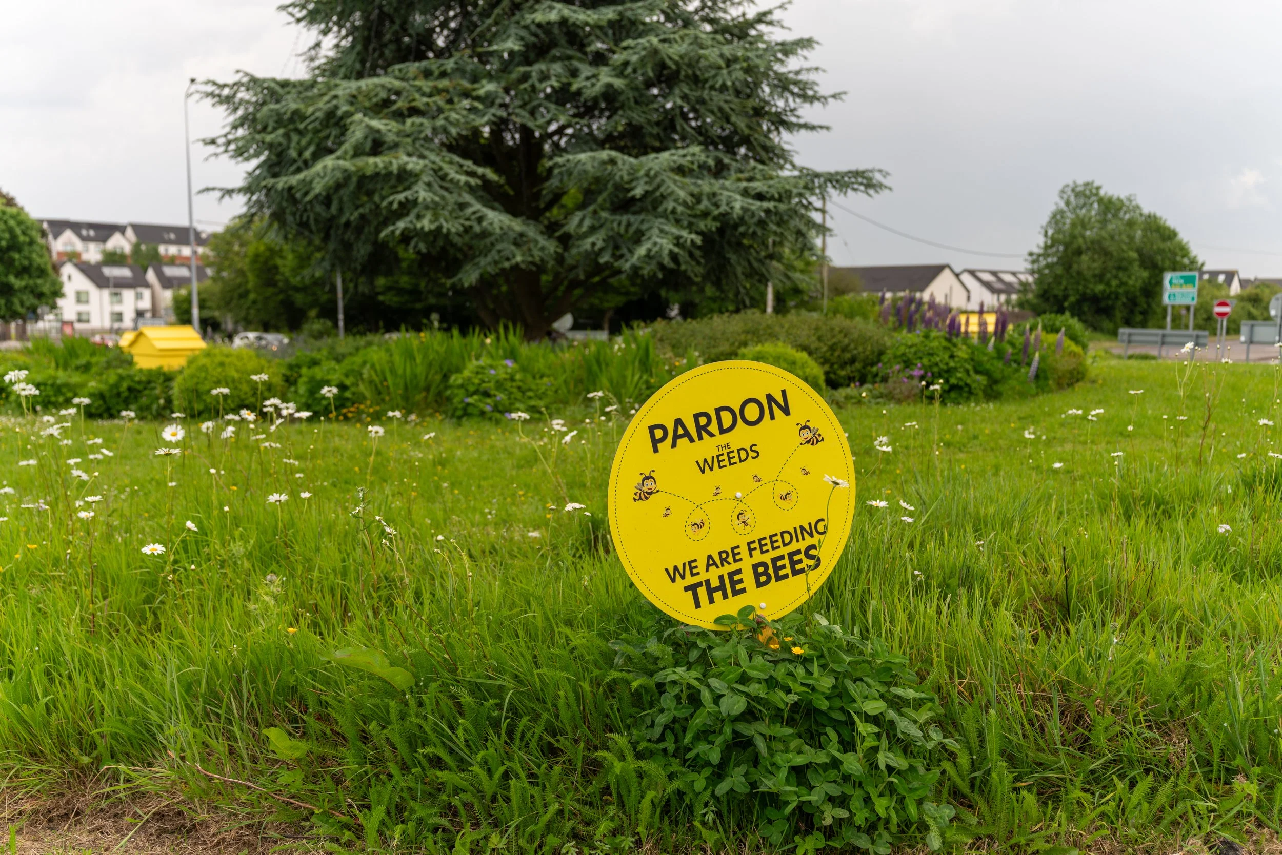 Pollinator sign at Poulavone Roundabout