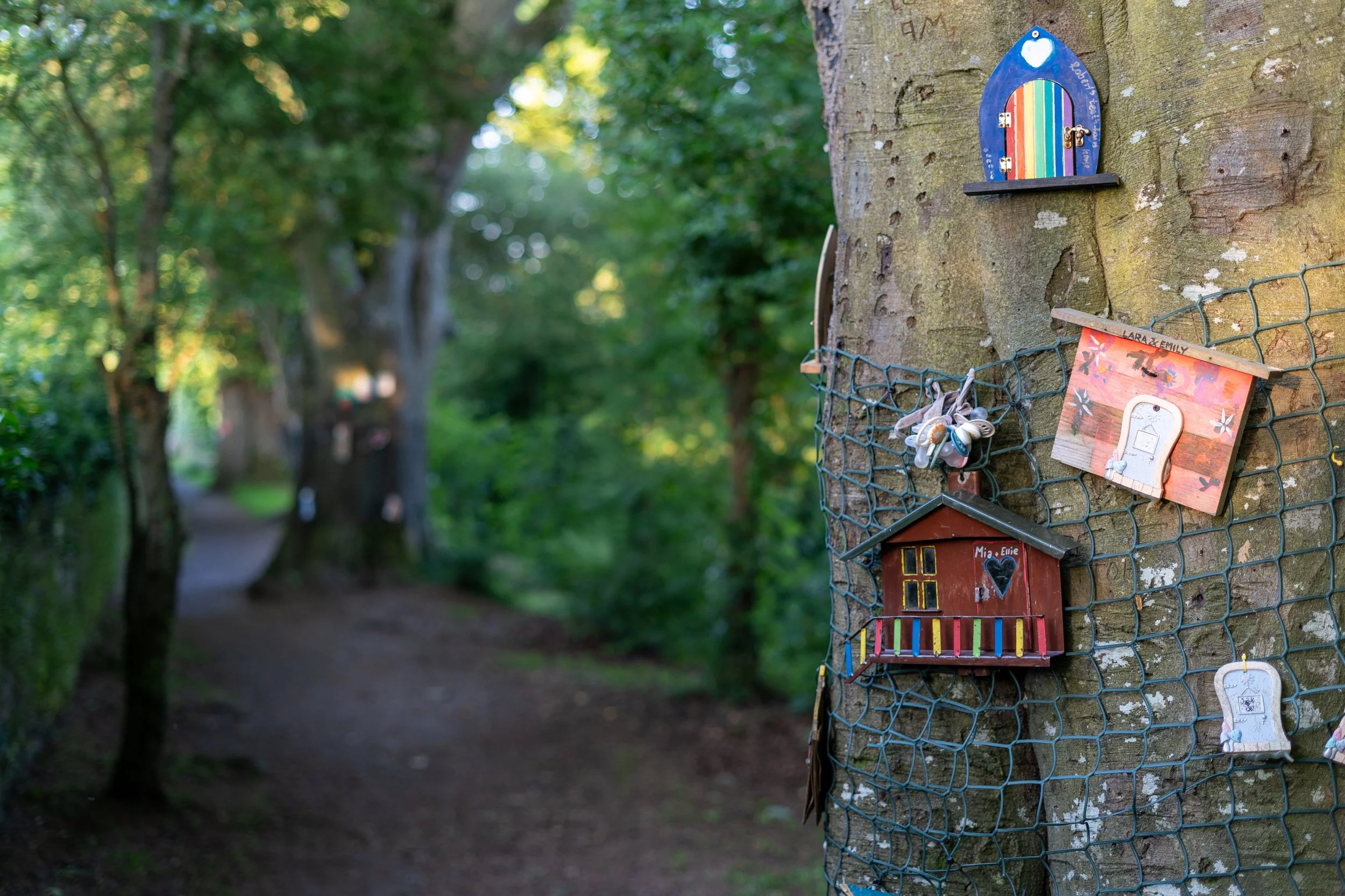 Fairy Trail Ballincollig Regional Park