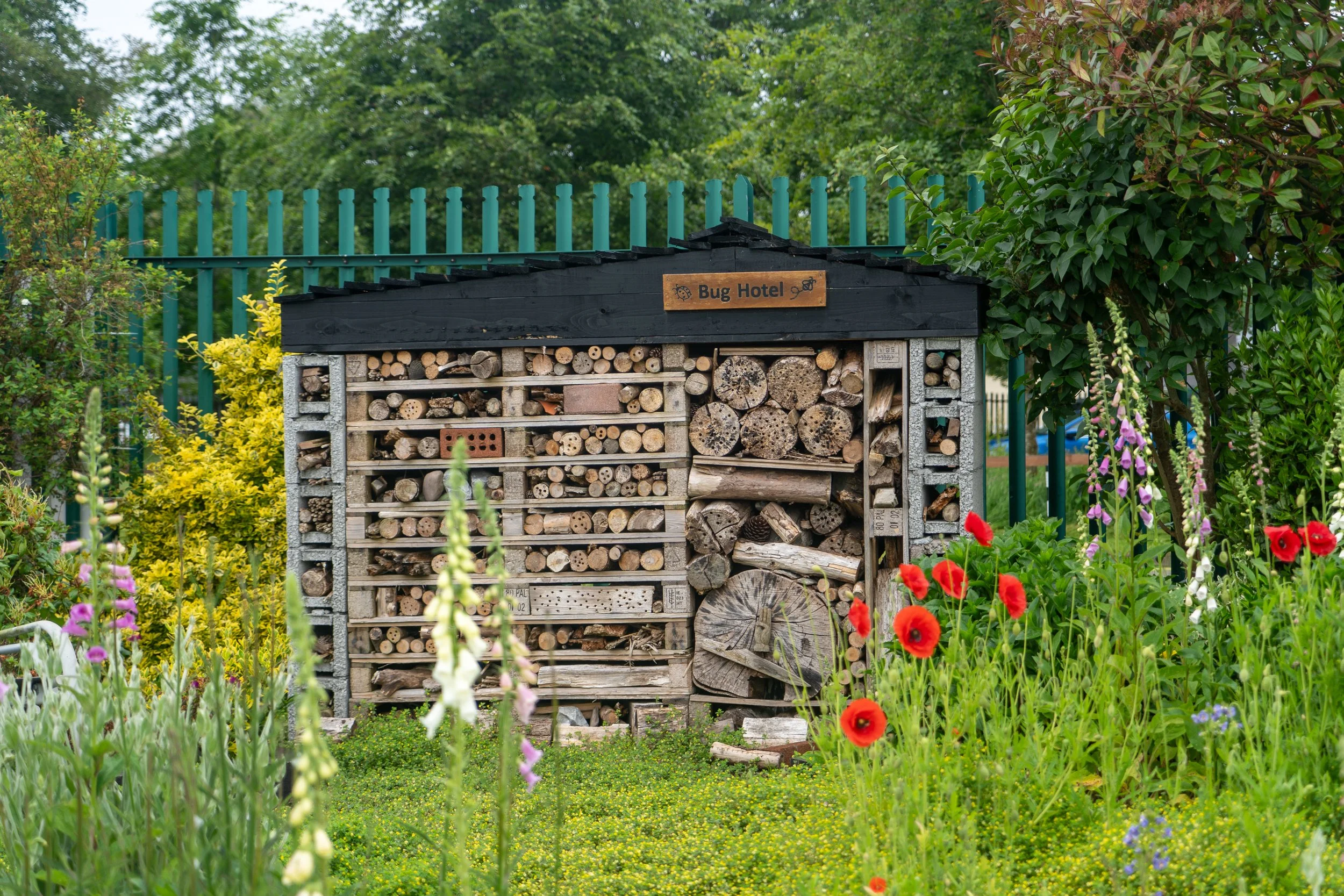 Bug hotel surrounded by plants