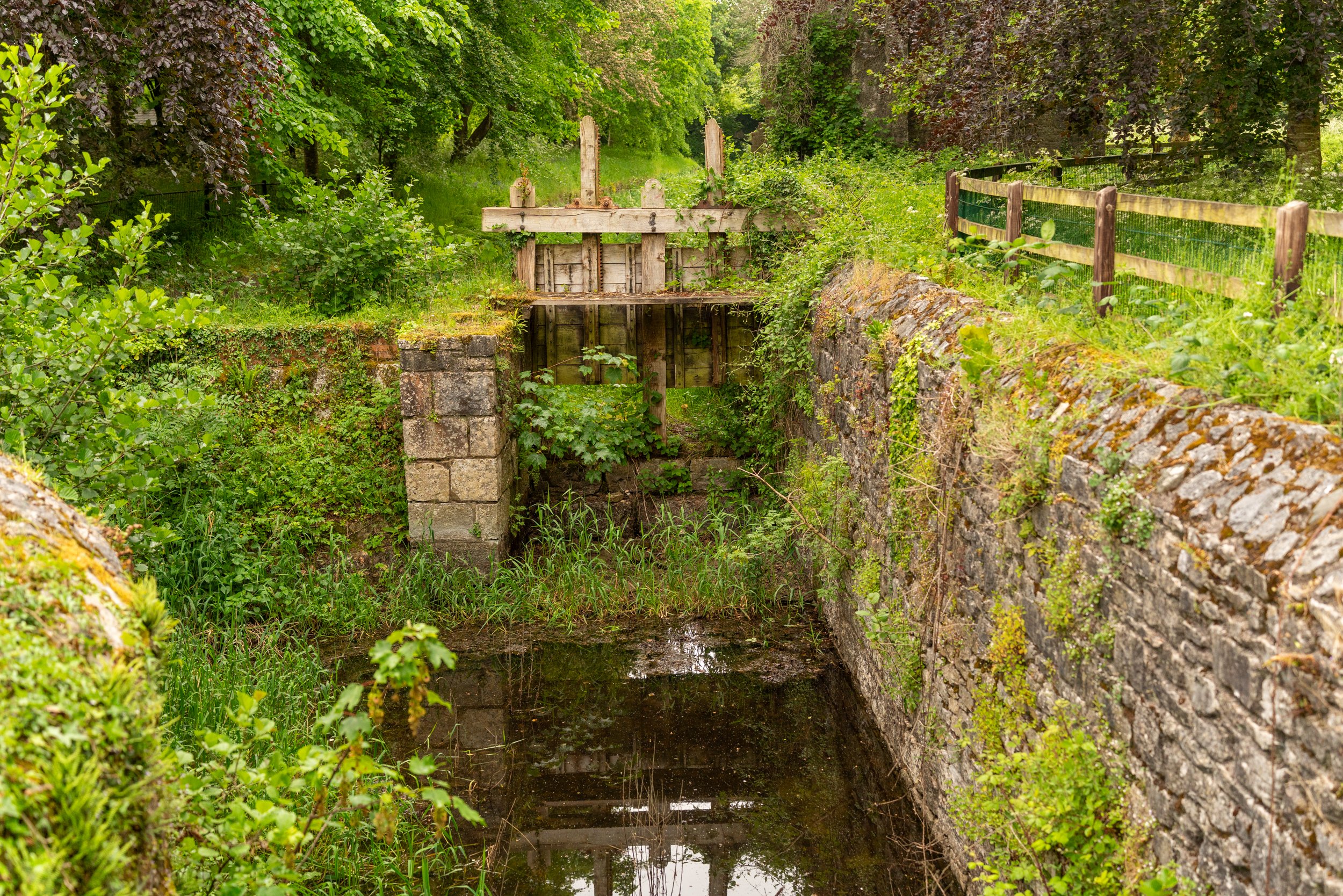 Gunpowder Mills stream