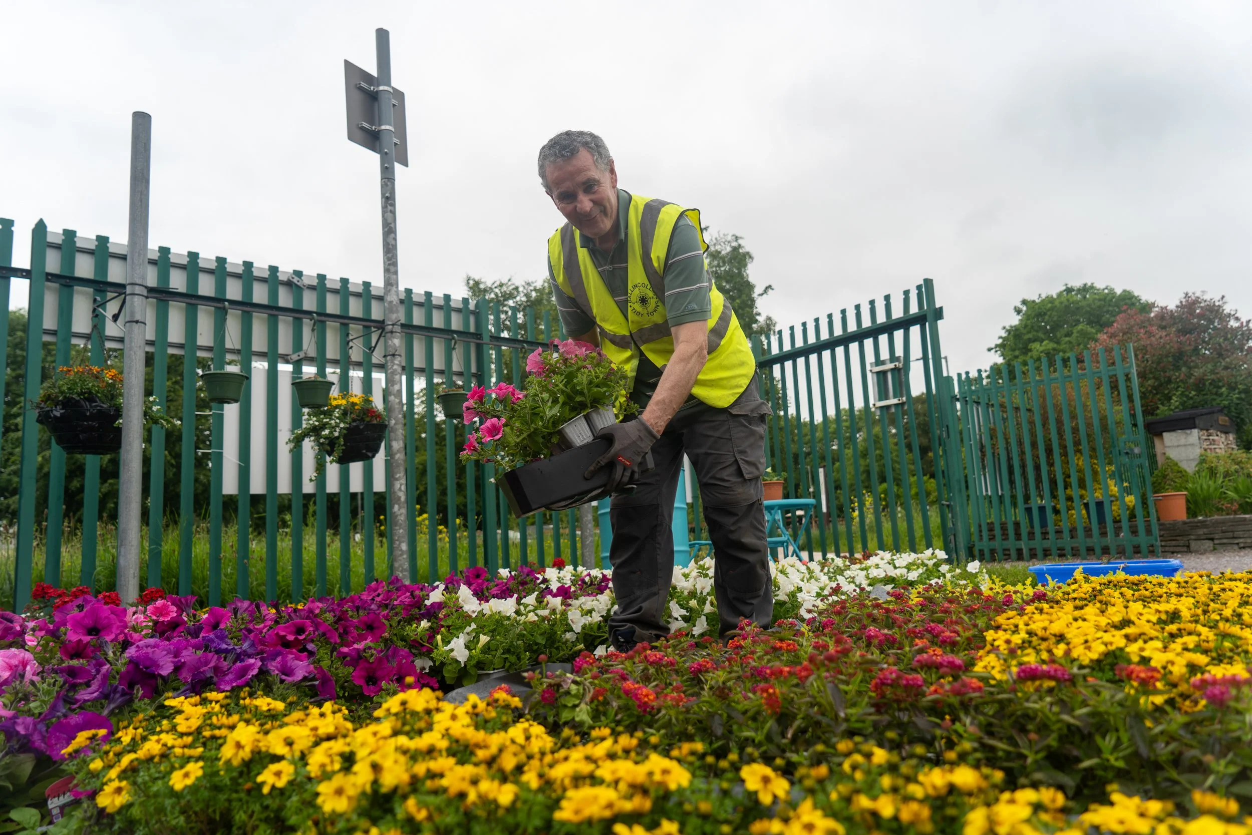 BTT landscaping