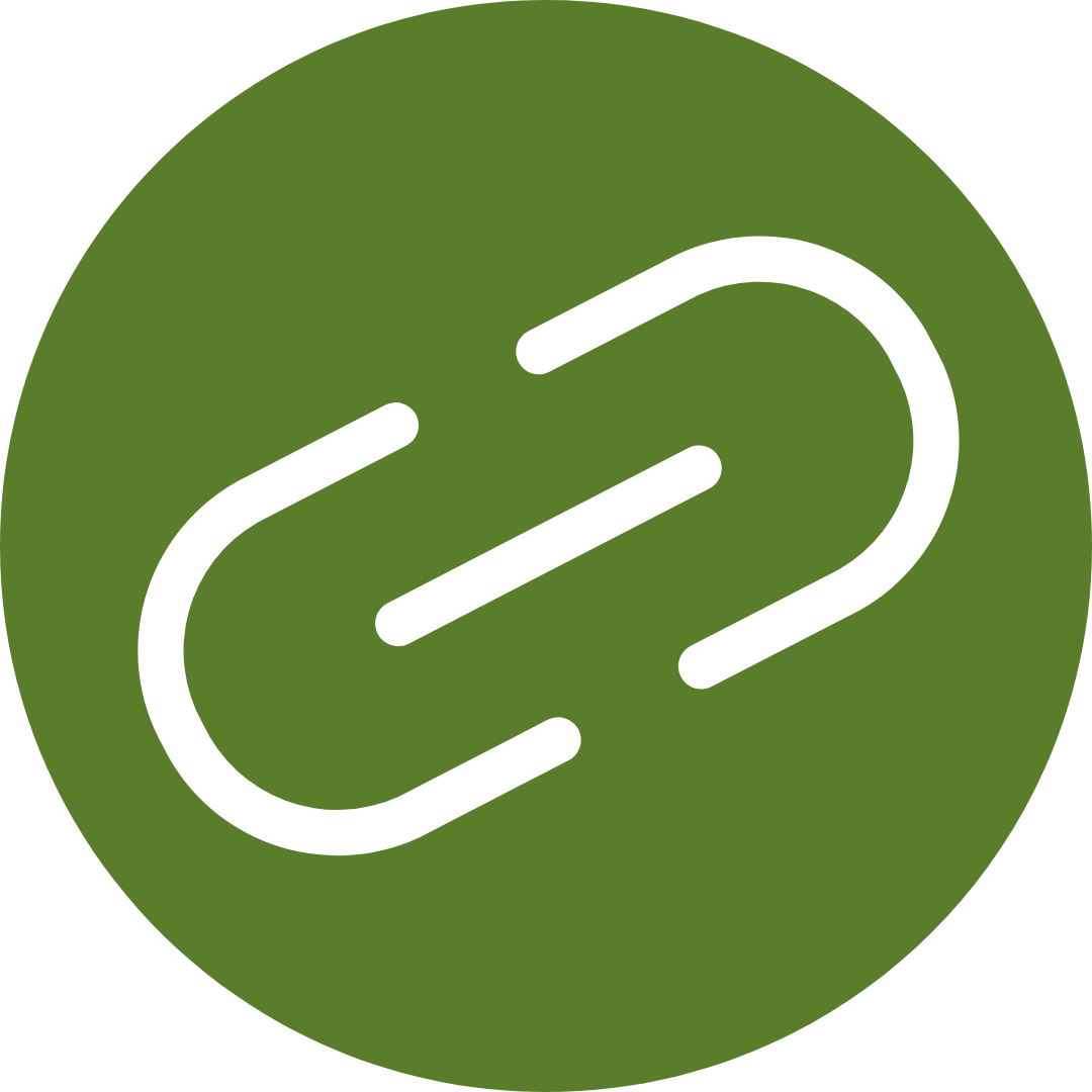 Link Icon