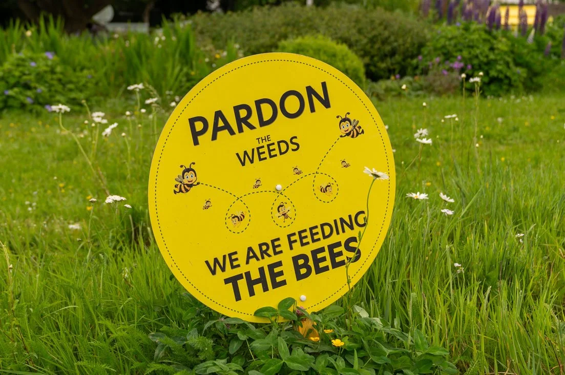 Feeding the Bees sign