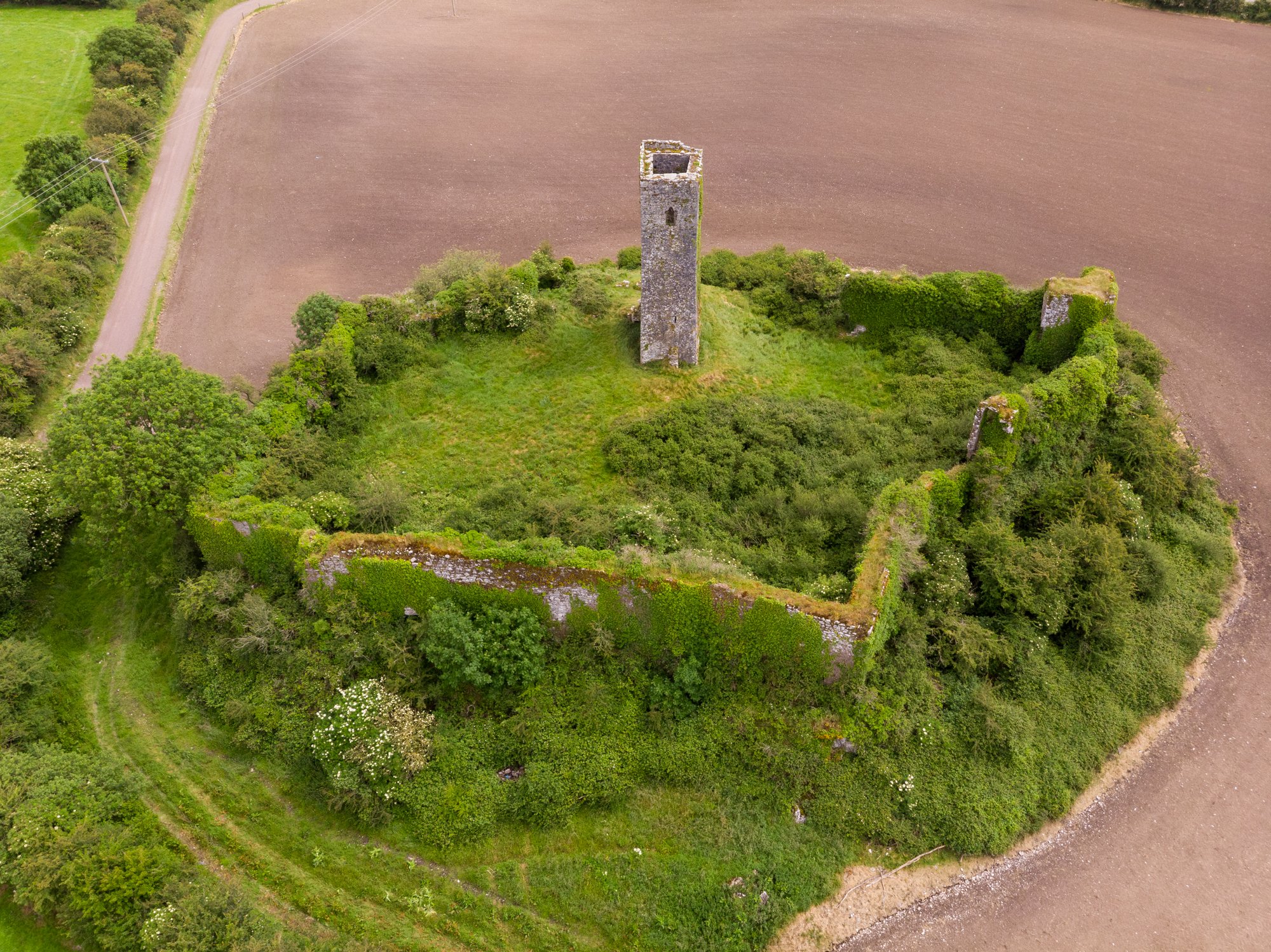 Ballincollig Castle aerial photo