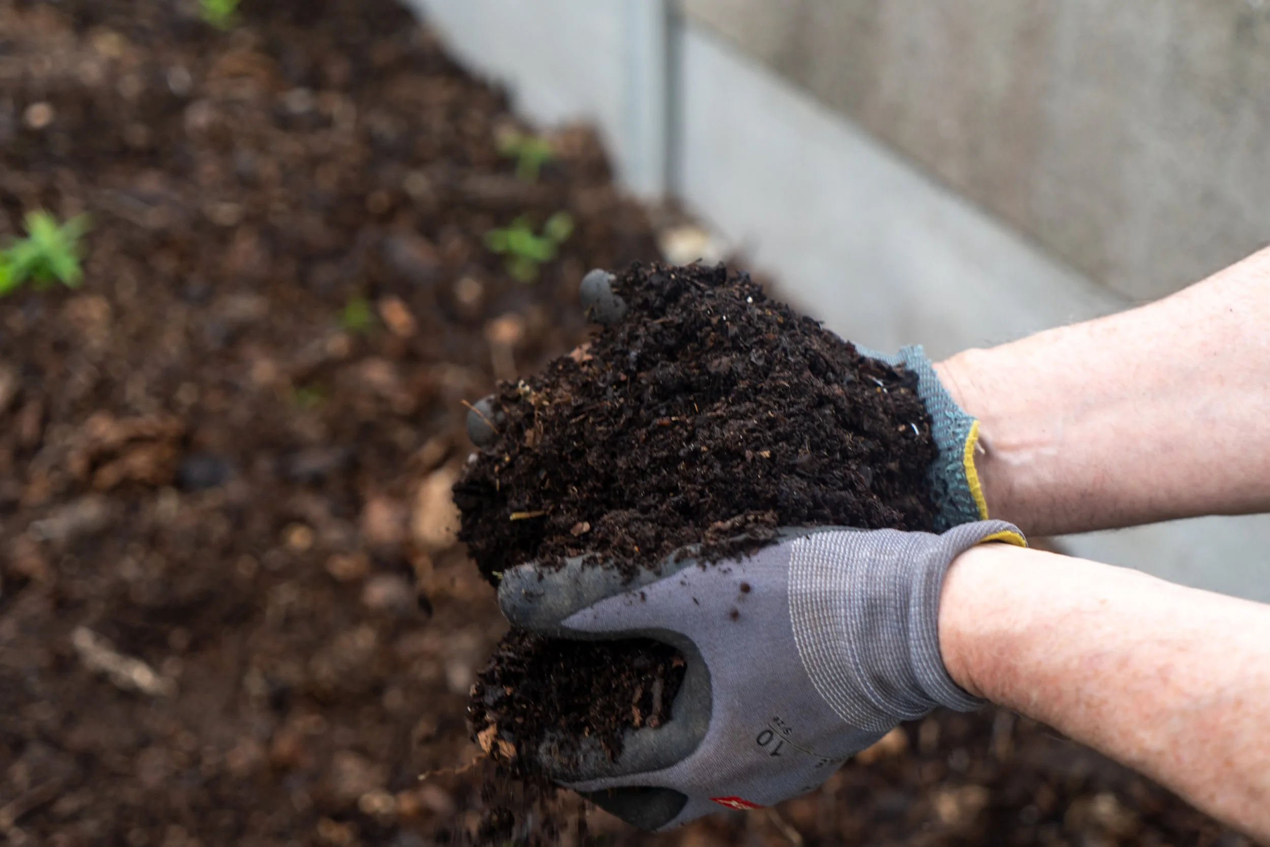 BTT Compost