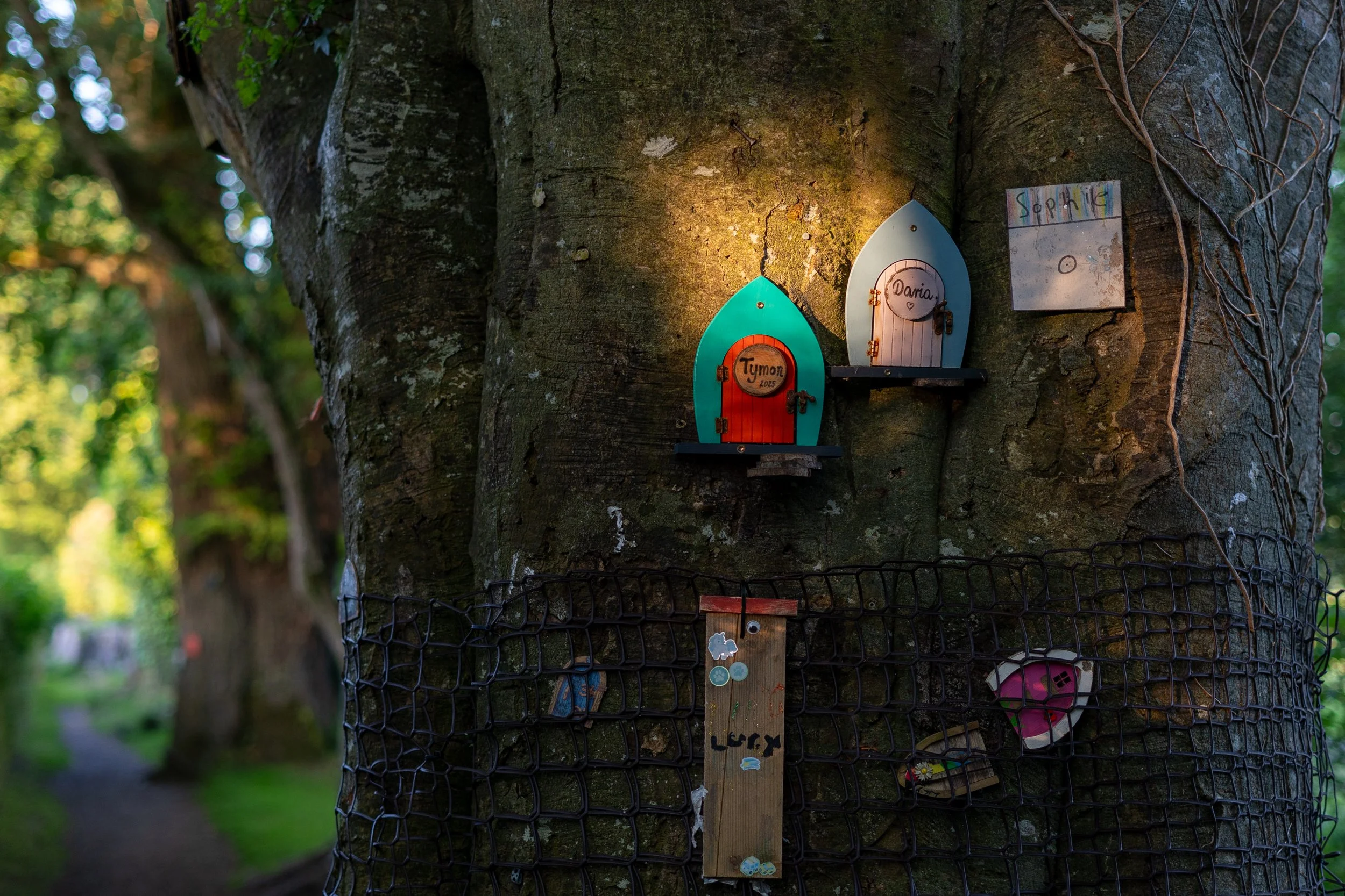 Fairy Doors on Tree