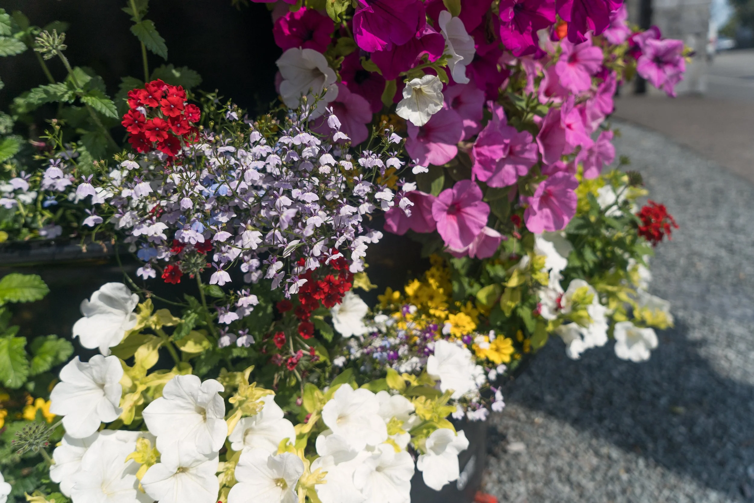 Selection of colourful flowers in tiered planter