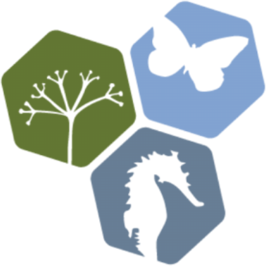 Biodiversity Ireland logo