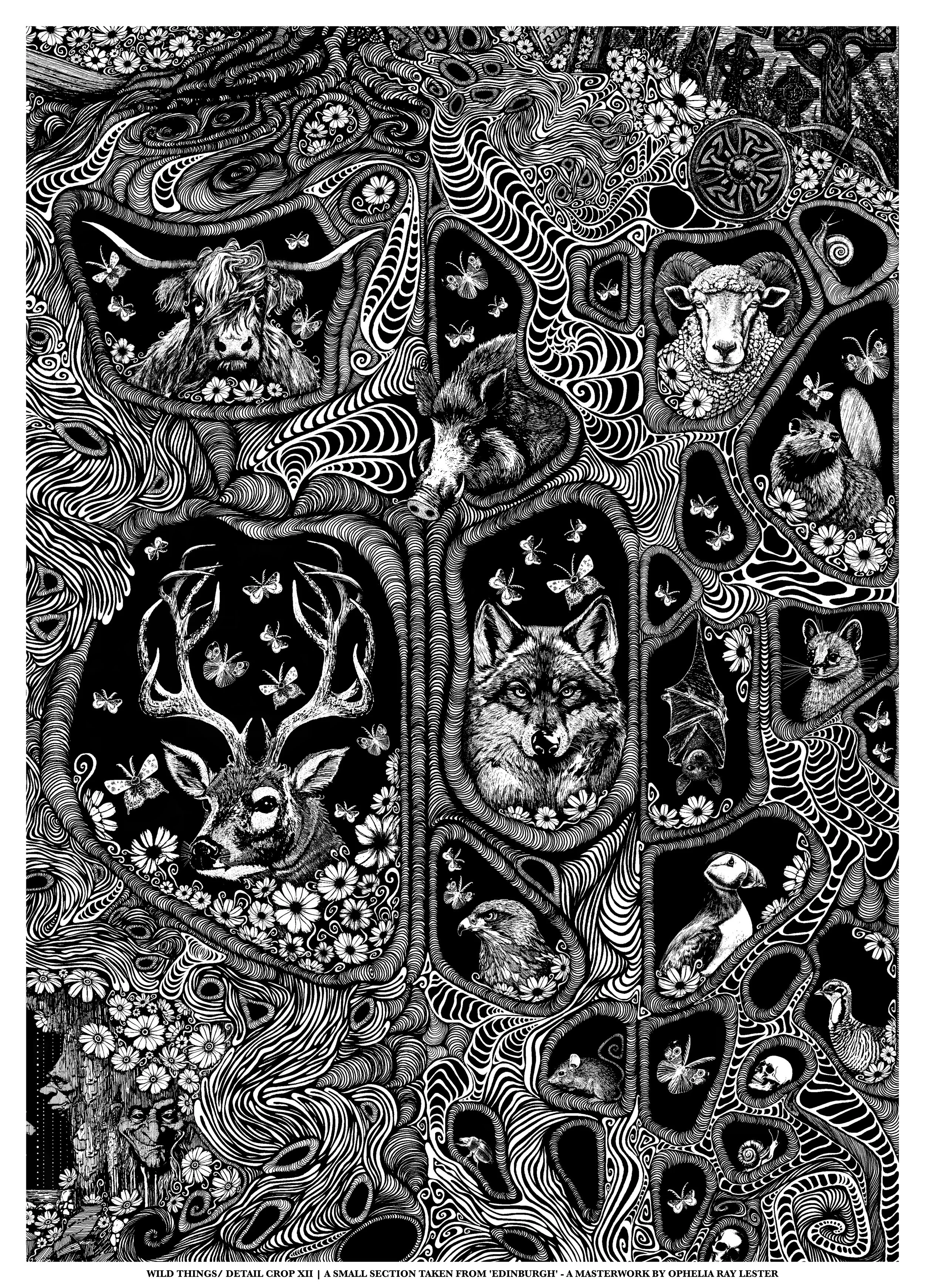 'Wild Things' - Mounted A4