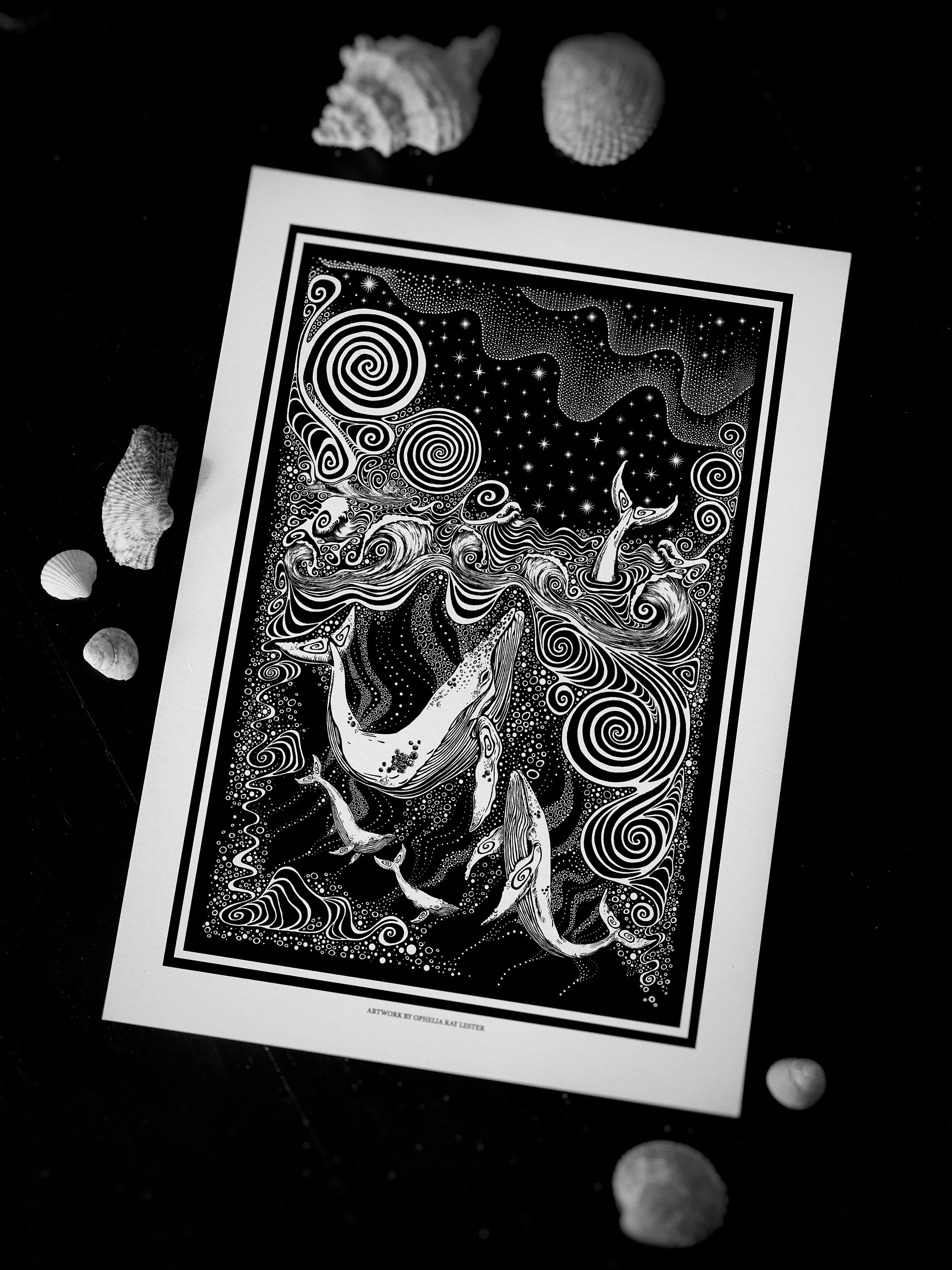 'Whale Song' - Fine Art print - A4