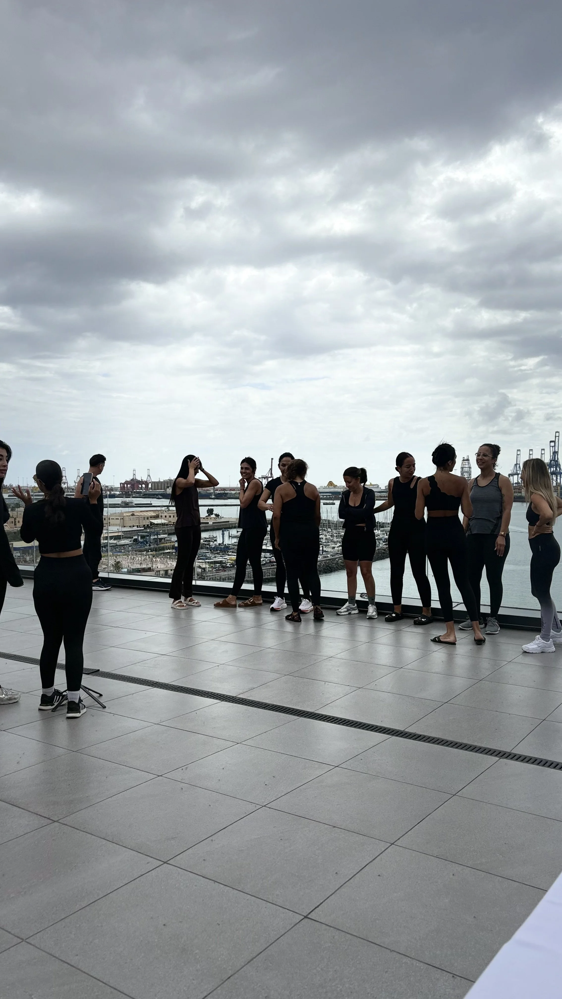 Grupo de personas de pie en una terraza con vista a un puerto y barcos, en un día nublado.