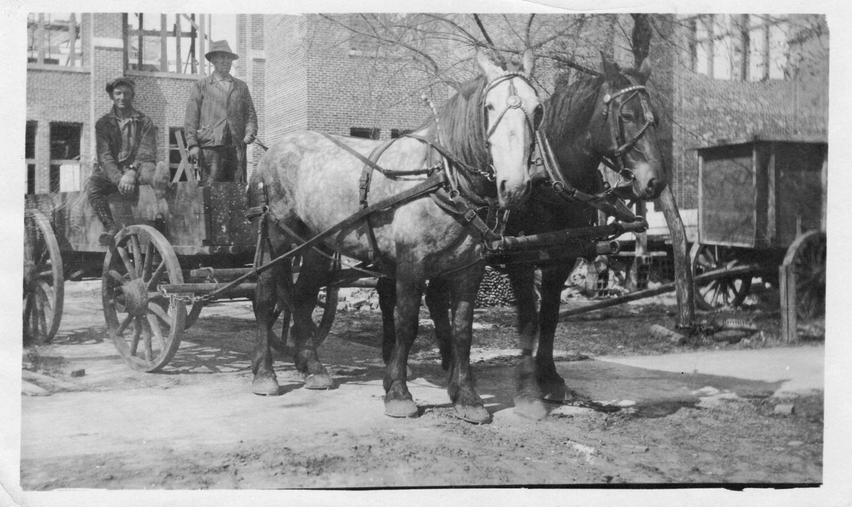 Black and white photograph of two horses harnessed to a wooden cart with two men standing on the cart, in front of a brick building under construction.