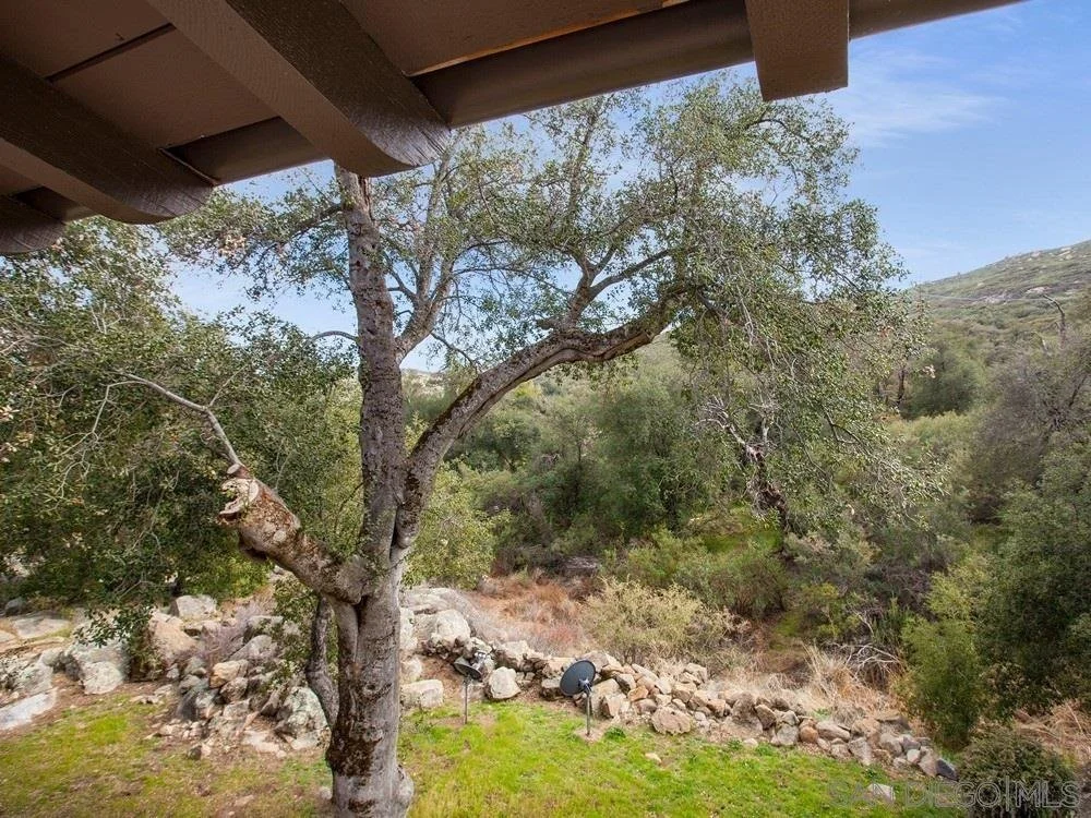 View from a house porch showing a large tree with a bent branch, rocks, and green shrubbery on a hillside under a blue sky.