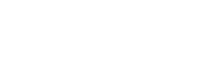Discovery Diligence 