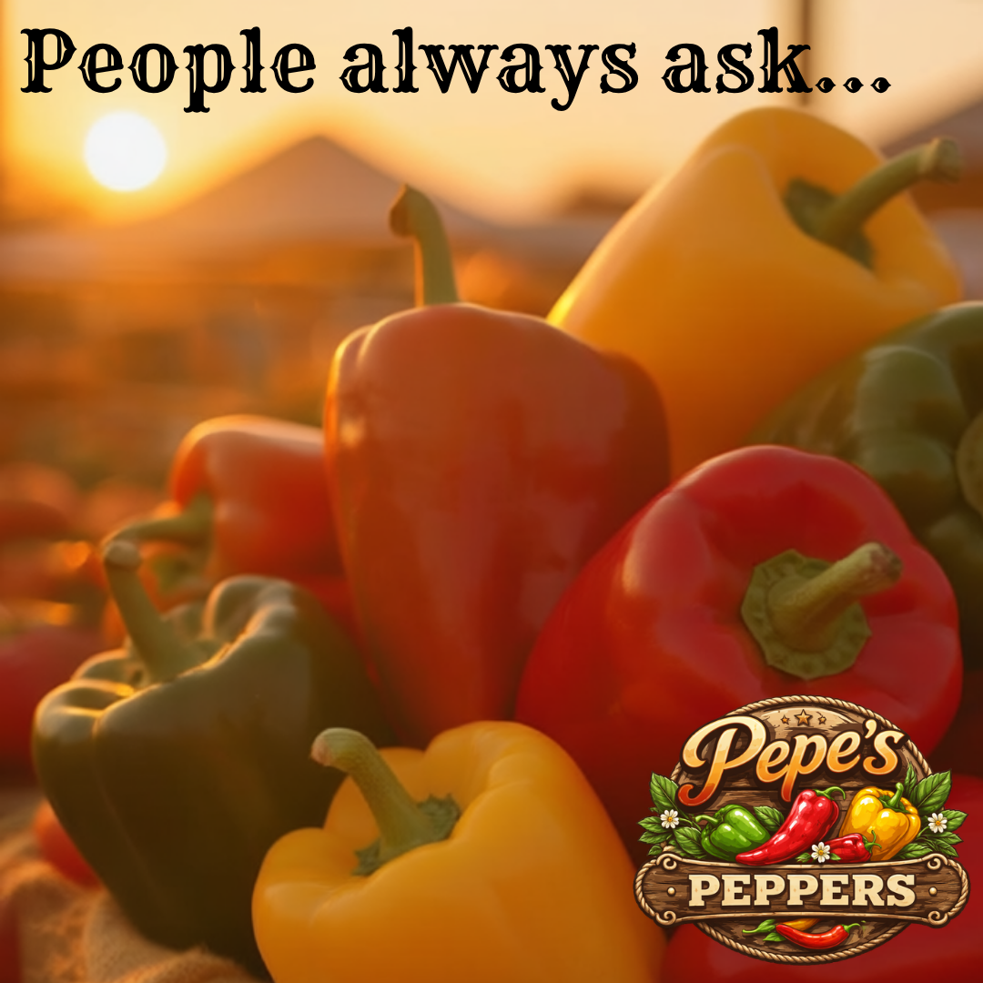 100% Organic. Locally Grown.

We get this question all the time—
yes, they’re organic.

Grown with care, picked fresh, and brought straight to market.

Once you try them, you’ll taste the difference.

Come get your Pepe’s 🌶️
📍 Chattanooga Farmers M