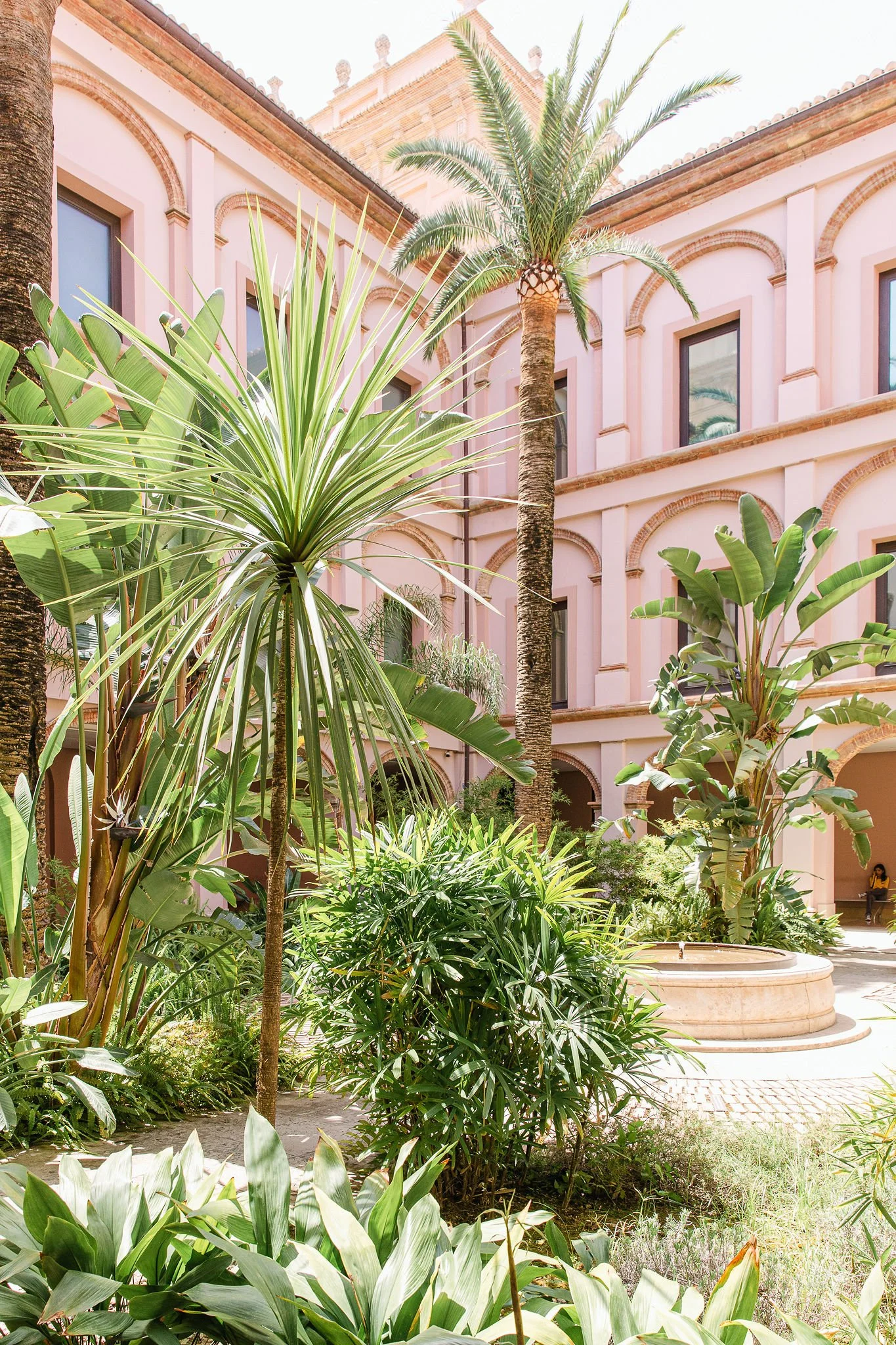 A courtyard garden with lush green plants and trees, including palm and banana trees, in front of a pink building with arched windows and a fountain.