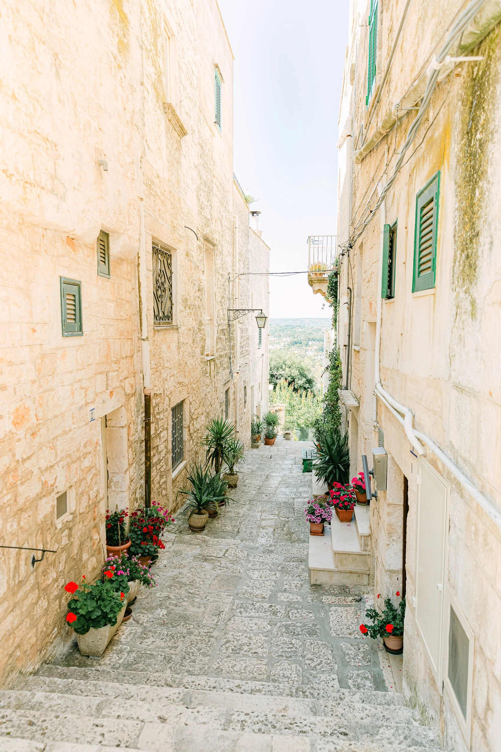 An alleyway with stone steps and potted flowers on either side, flanked by beige stone buildings with green shutters and small windows. A view of a distant landscape is visible at the end of the alley.