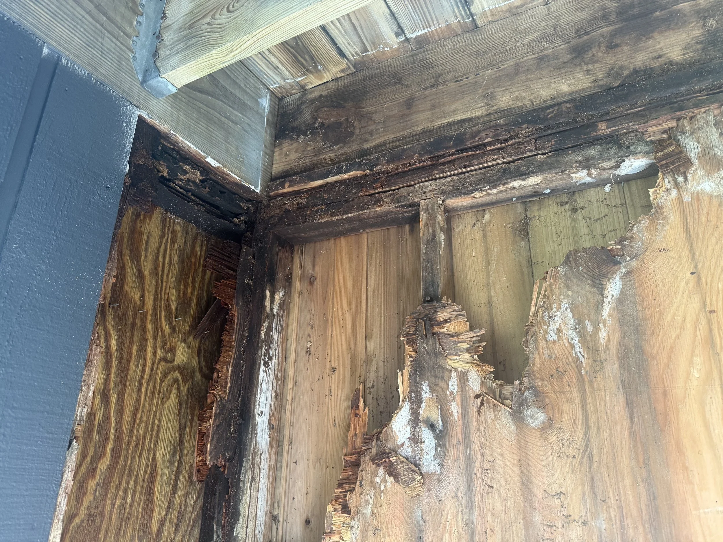 Rotted wooden door frame and structural wood showing extensive water damage