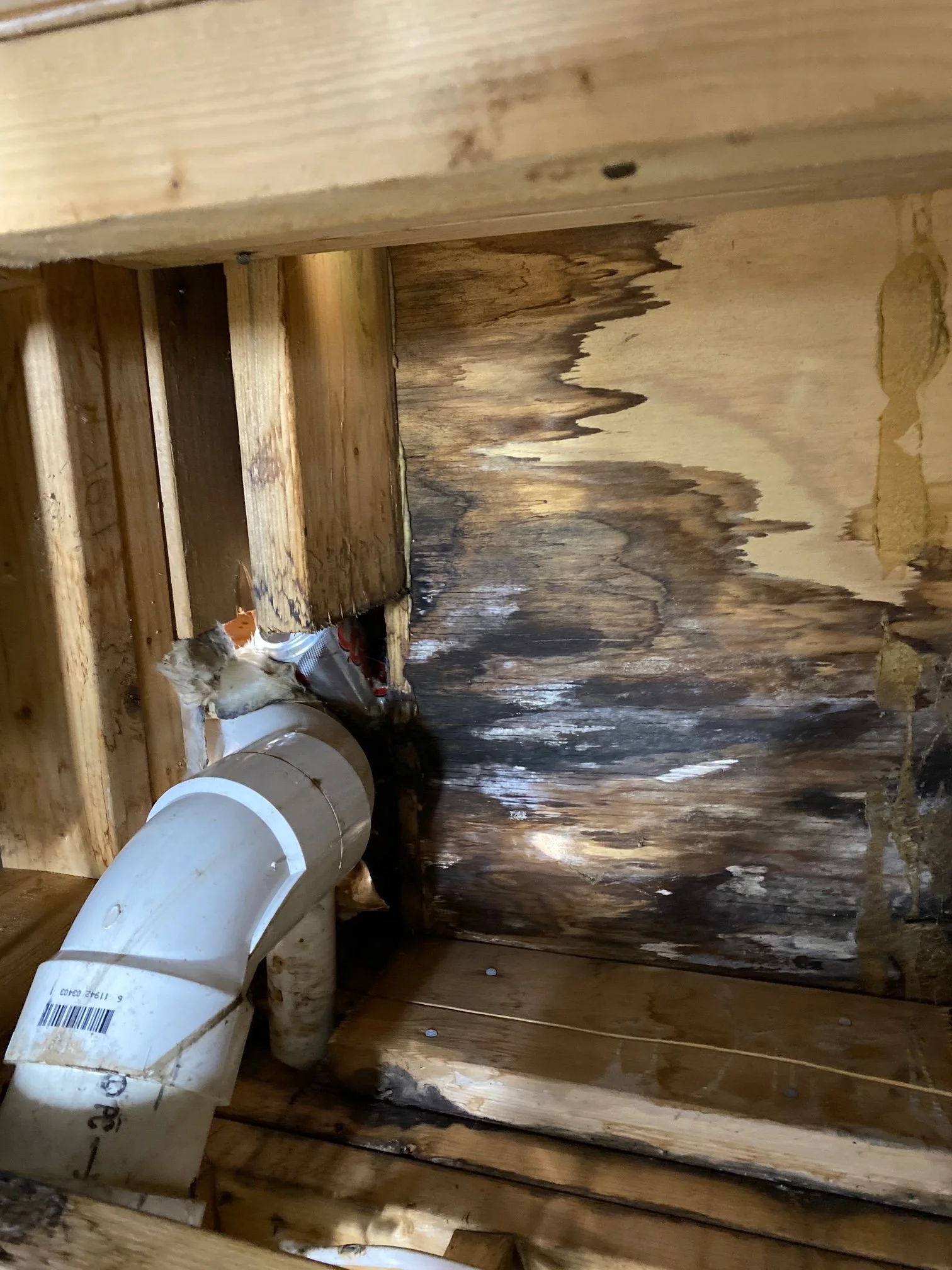Water-stained subfloor with black mold pattern and exposed PVC drain pipe
