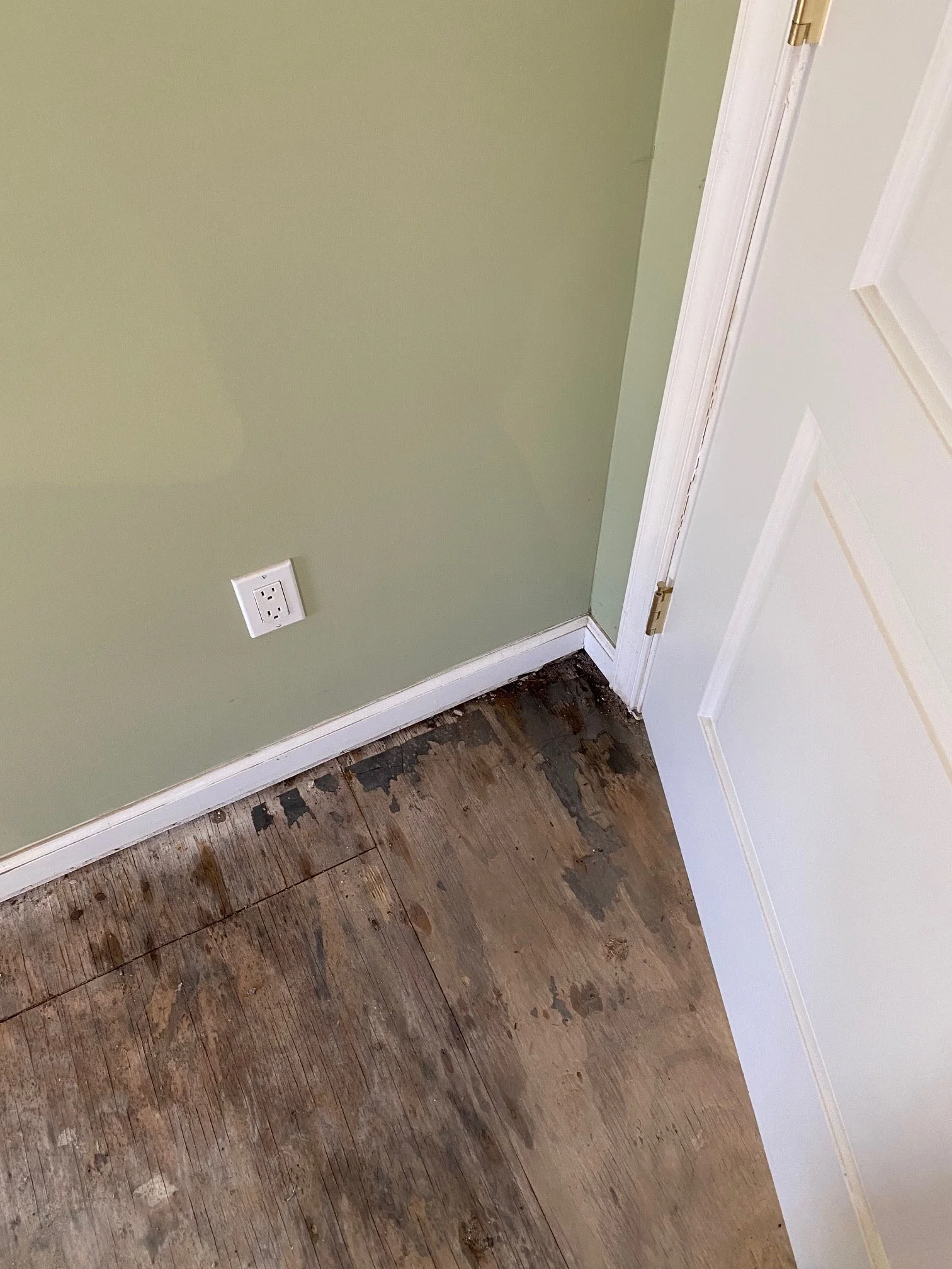 Water-damaged wood floor visible at the base of a closed bedroom door, pastel green wall above