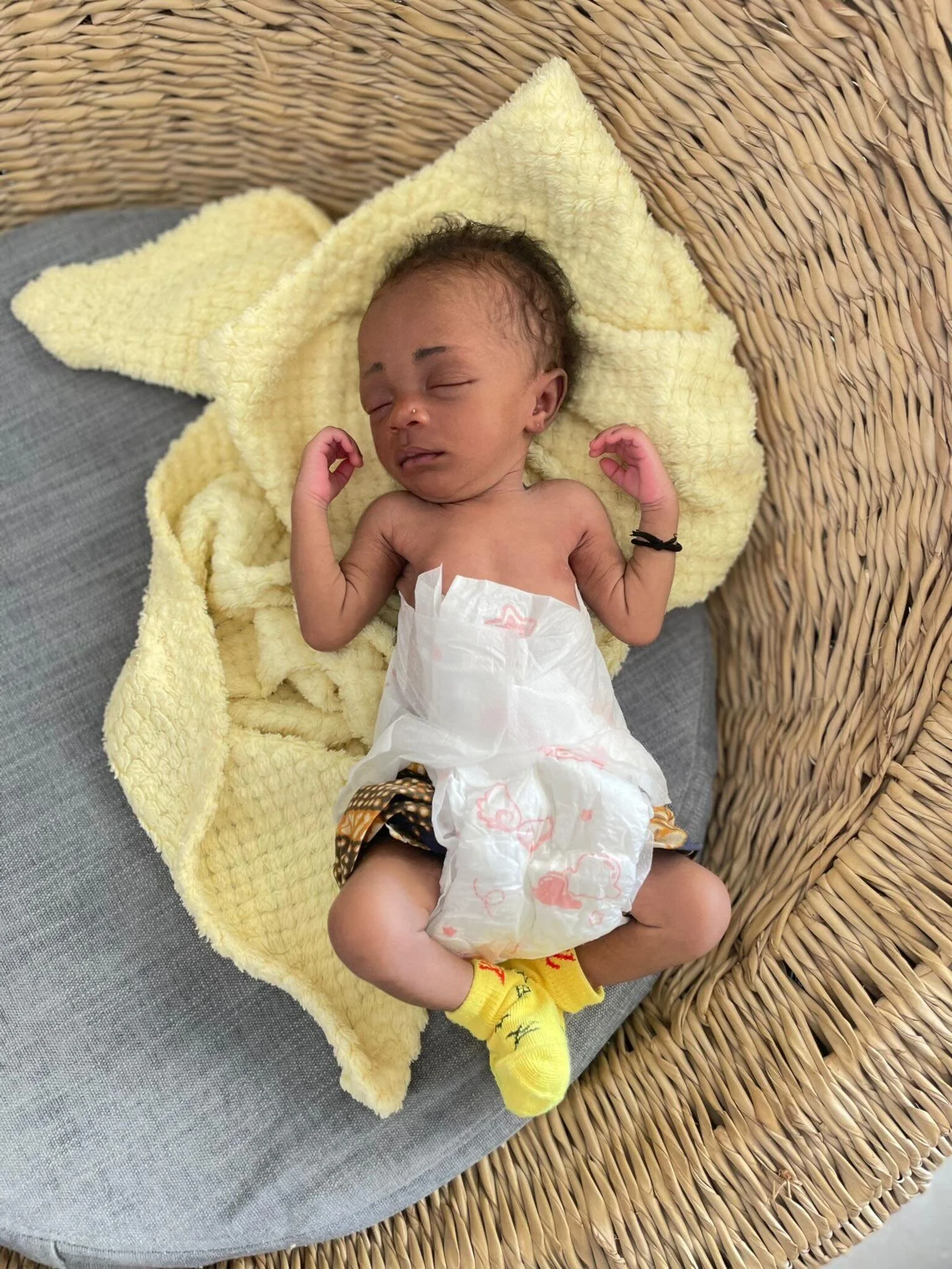 We have added 2 new beautiful milk babies to our program today! Go check out the @stopfortheone_  website to learn about them and how you can help them! ❤️