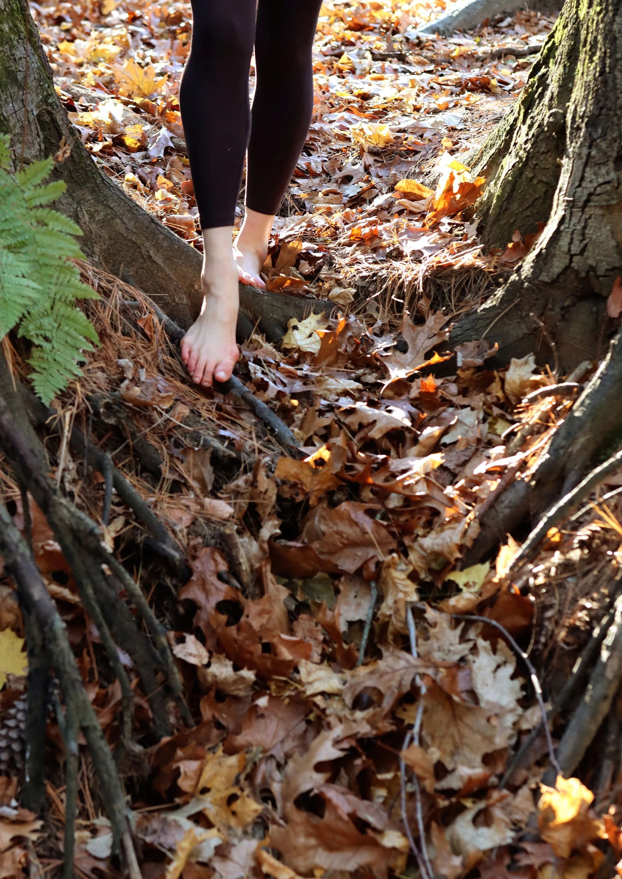 Person walking barefoot on a fallen leaf-covered path in a wooded area, surrounded by trees and foliage.