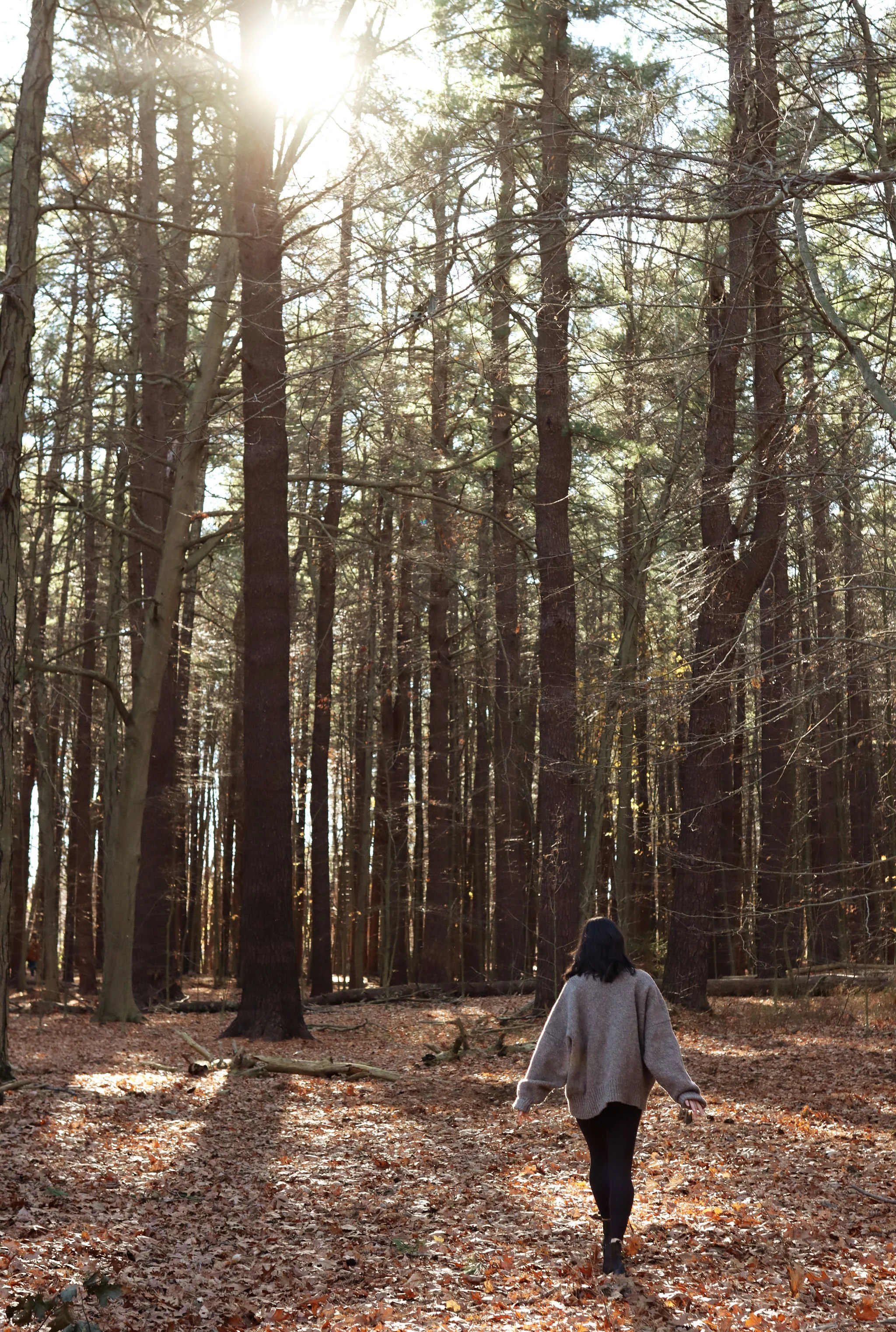 A woman with dark hair walking through a forest on a sunny day, wearing a beige sweater and black leggings, surrounded by tall trees and fallen leaves.