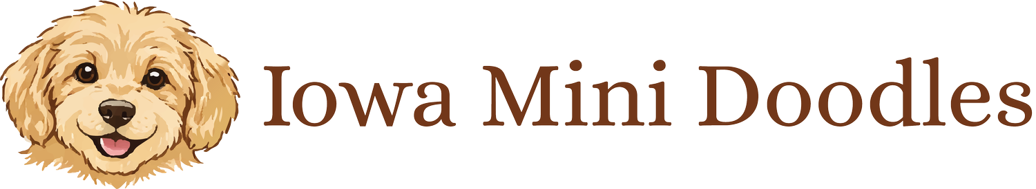 Iowa Mini Doodles