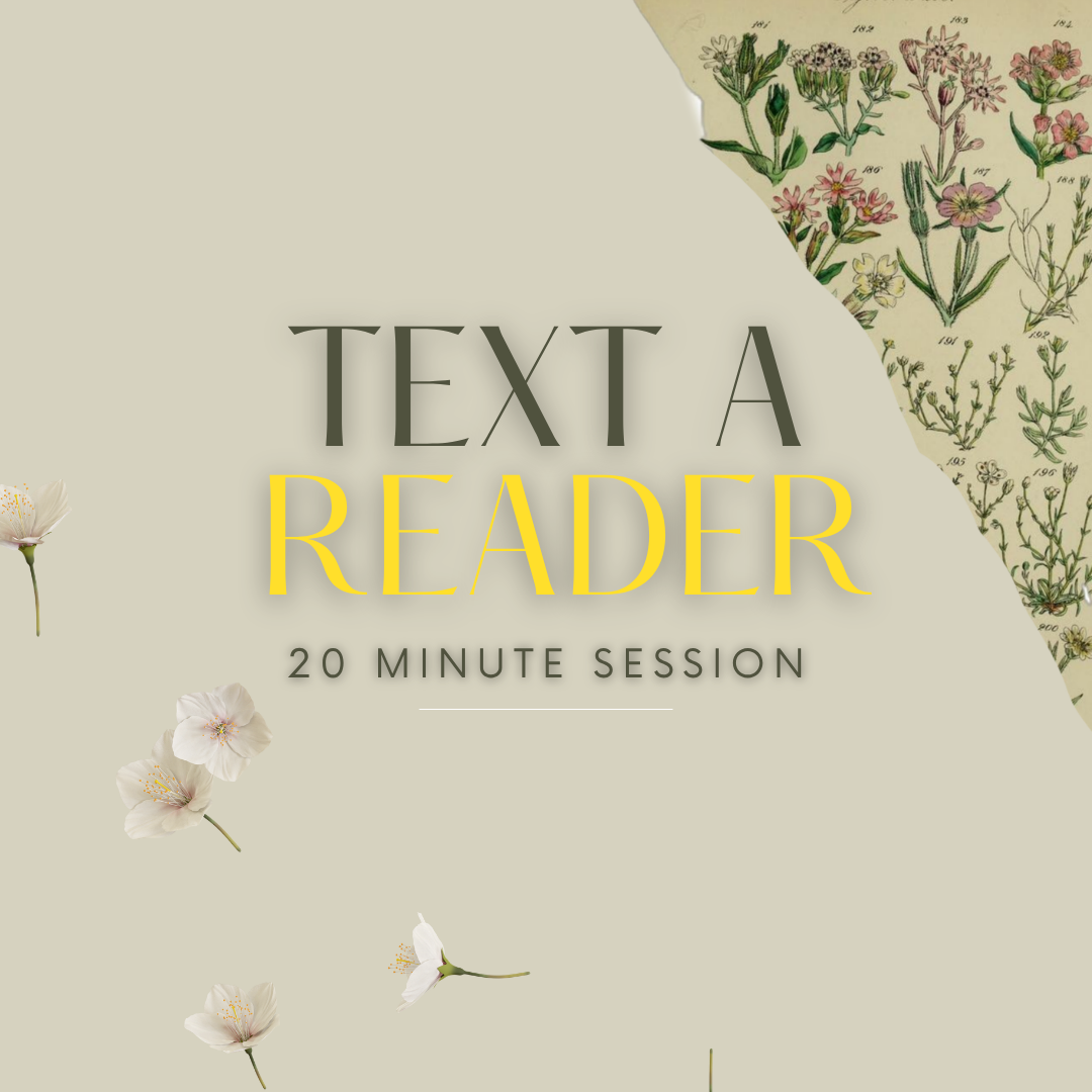 Text A Reader 20 Minute Session