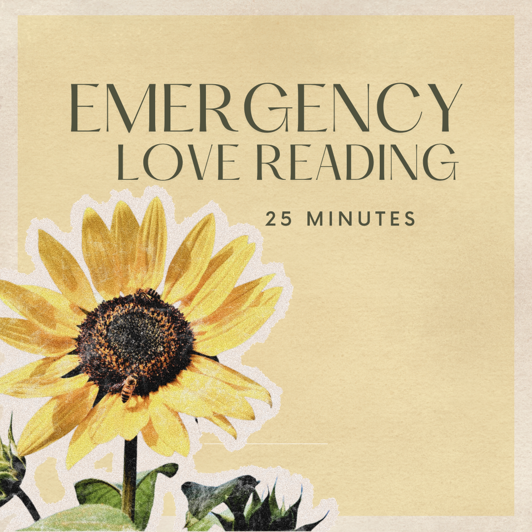Emergency Love Reading