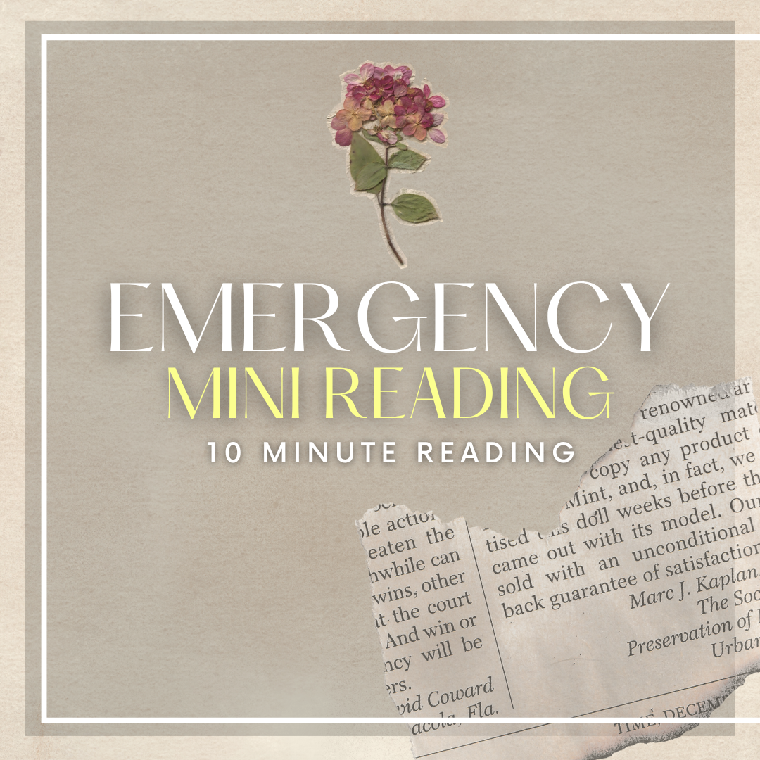 Emergency Mini Love Reading