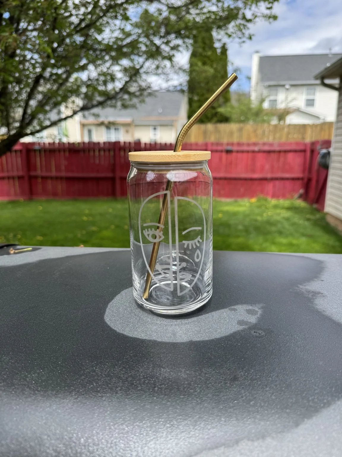 Feeling Things Etched Glass