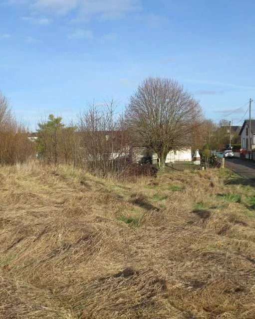 Une parcelle avec de l'herbe sèche et quelques arbres, à côté d'une route dans une zone résidentielle.
