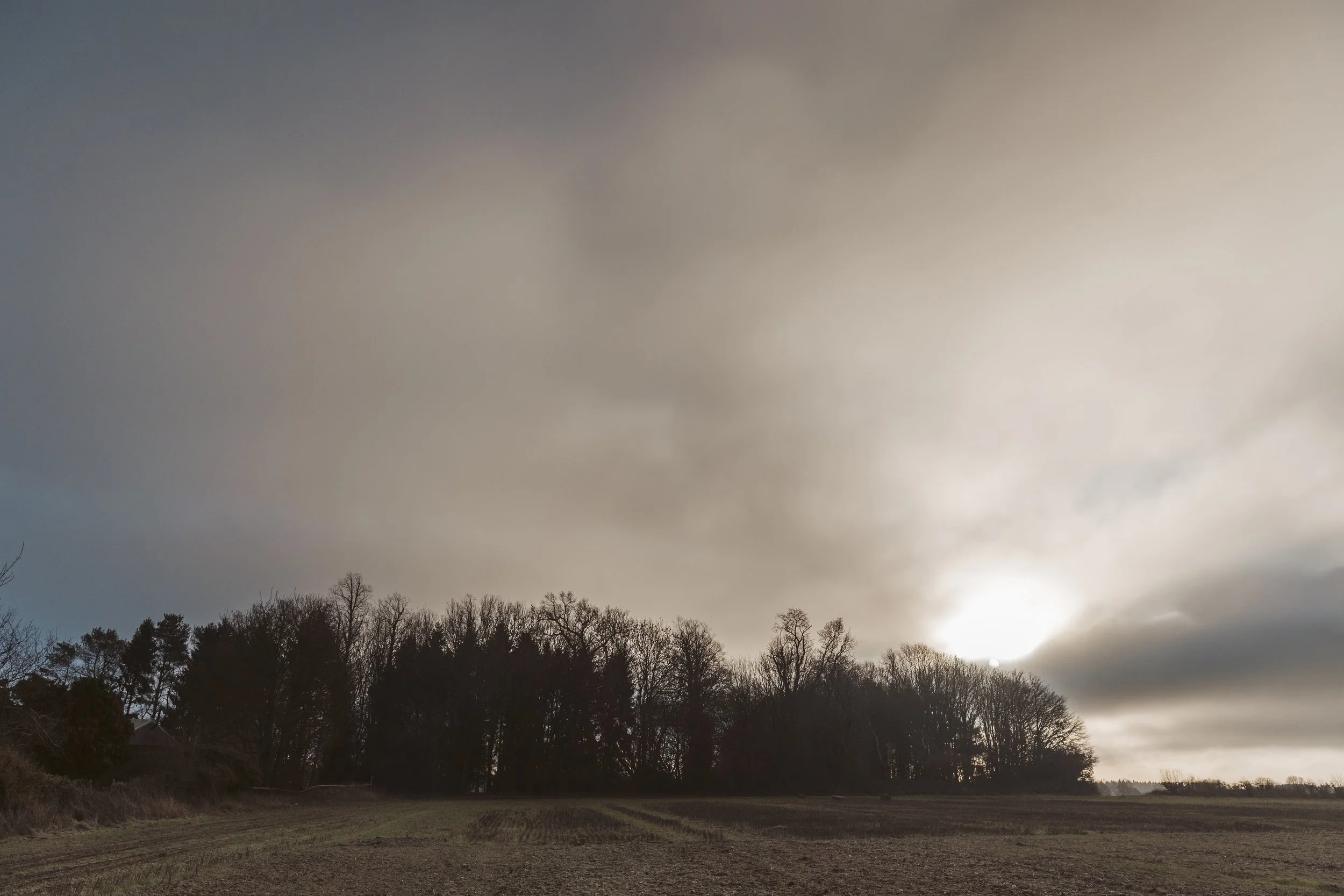 Helios Follows the Gaze of the Sun