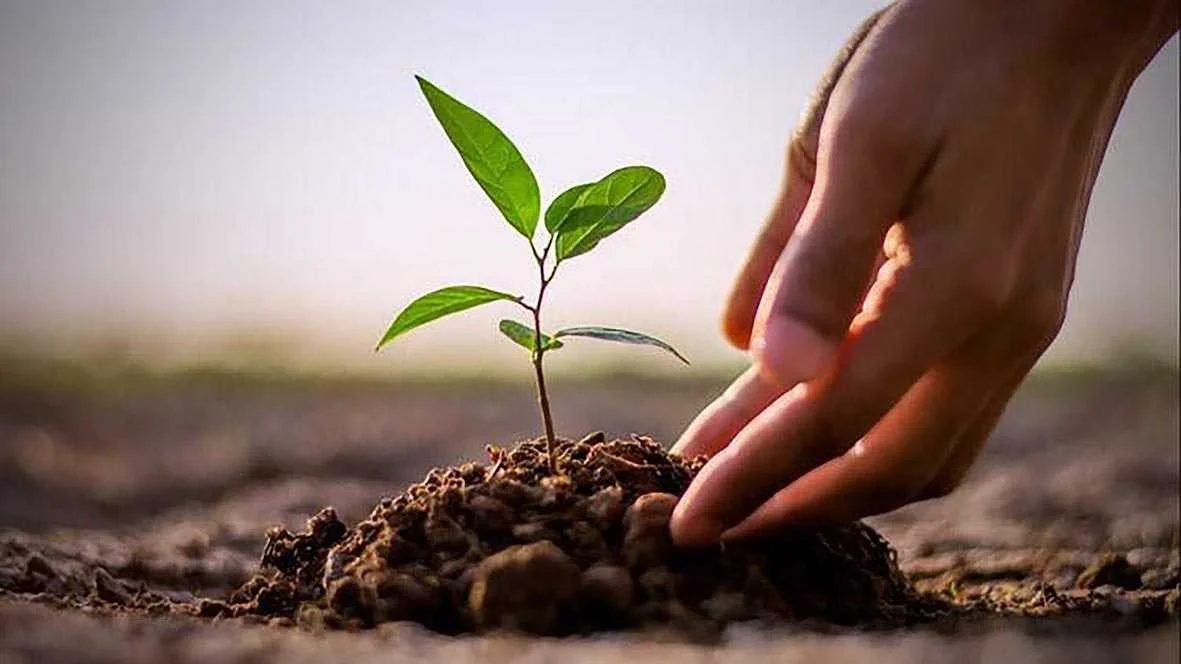 We all need a revival, an intention, anything can be potential.