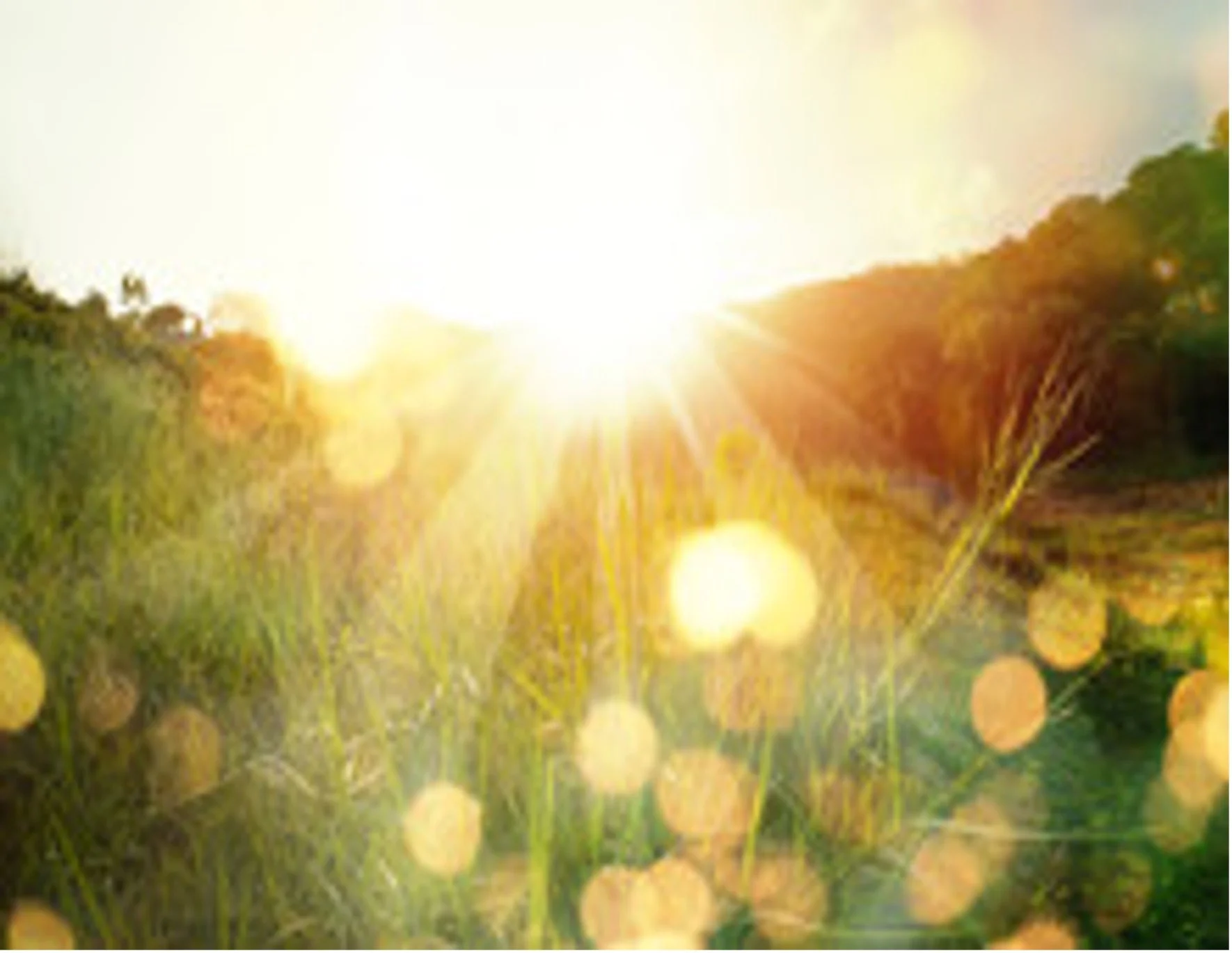 Stepping into the Light: Embracing your Inner Leo