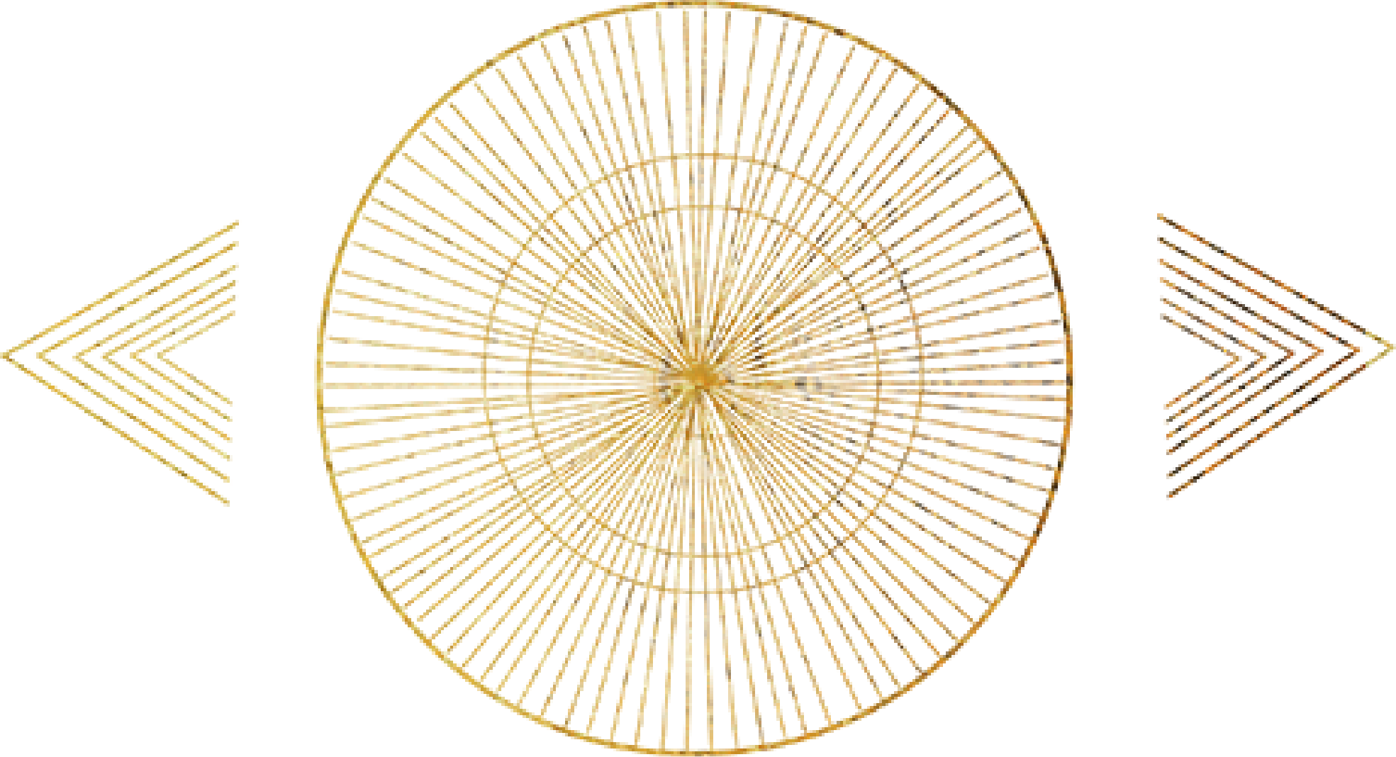 Golden spiral and arrows on a black background.