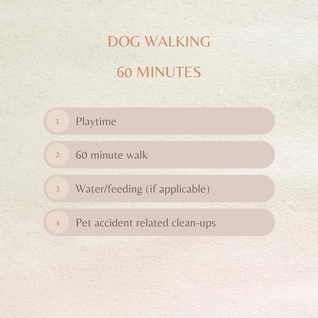 Dog walking- 60 min  (RVA locals only)