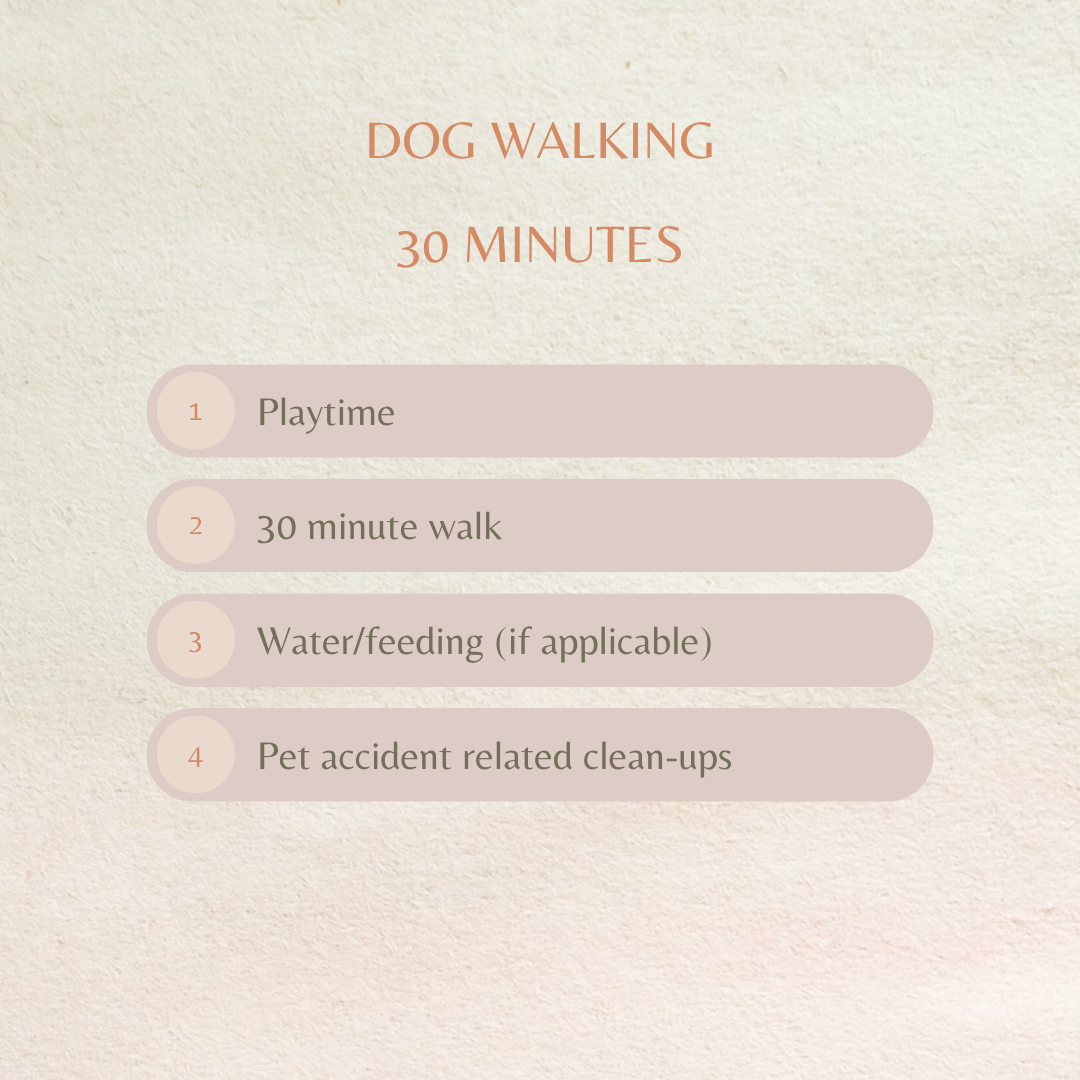 Dog Walking- 30 mins (RVA locals only)