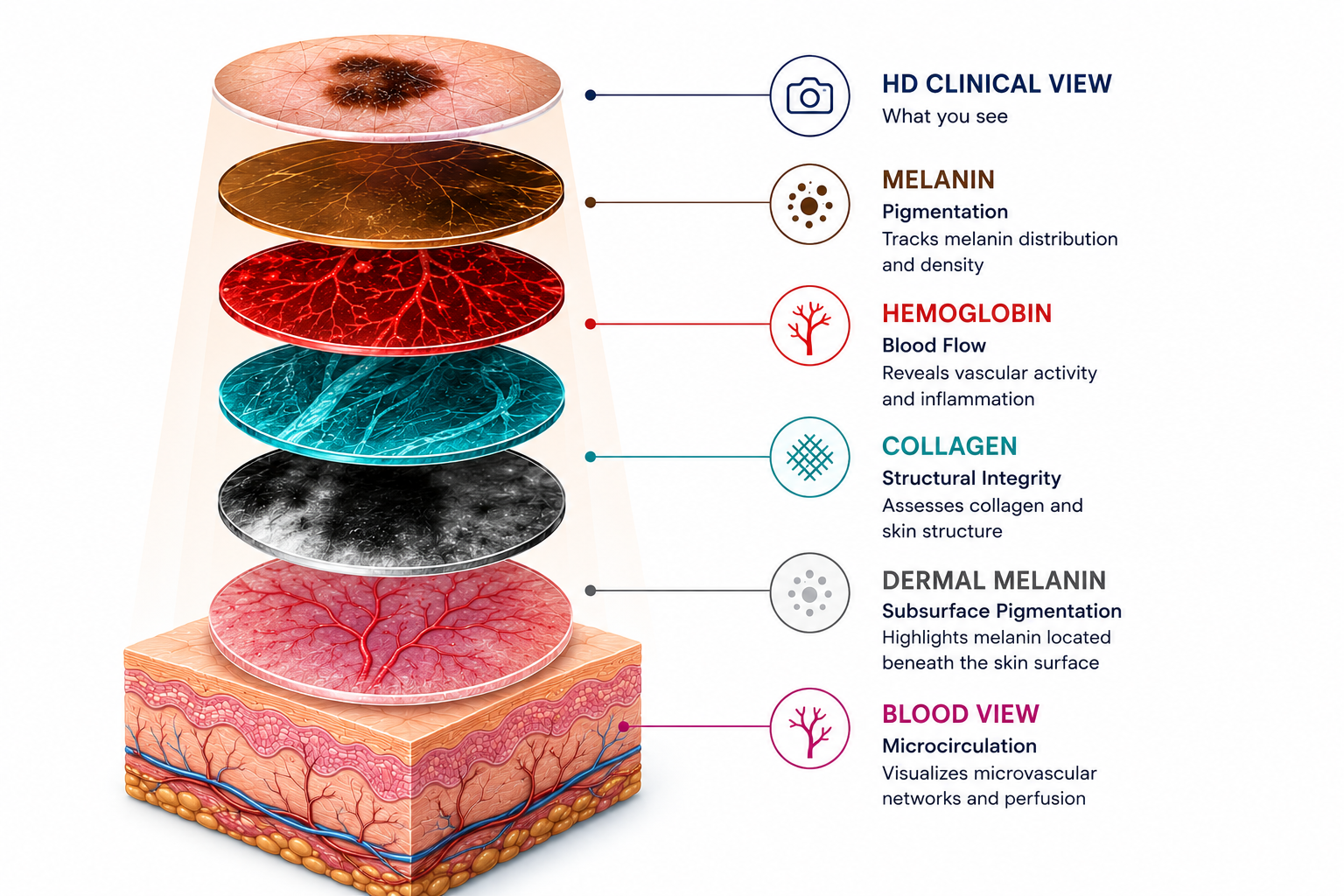 The Future of Skin Health Is Layered: Connecting the Microbiome to Subsurface Biology