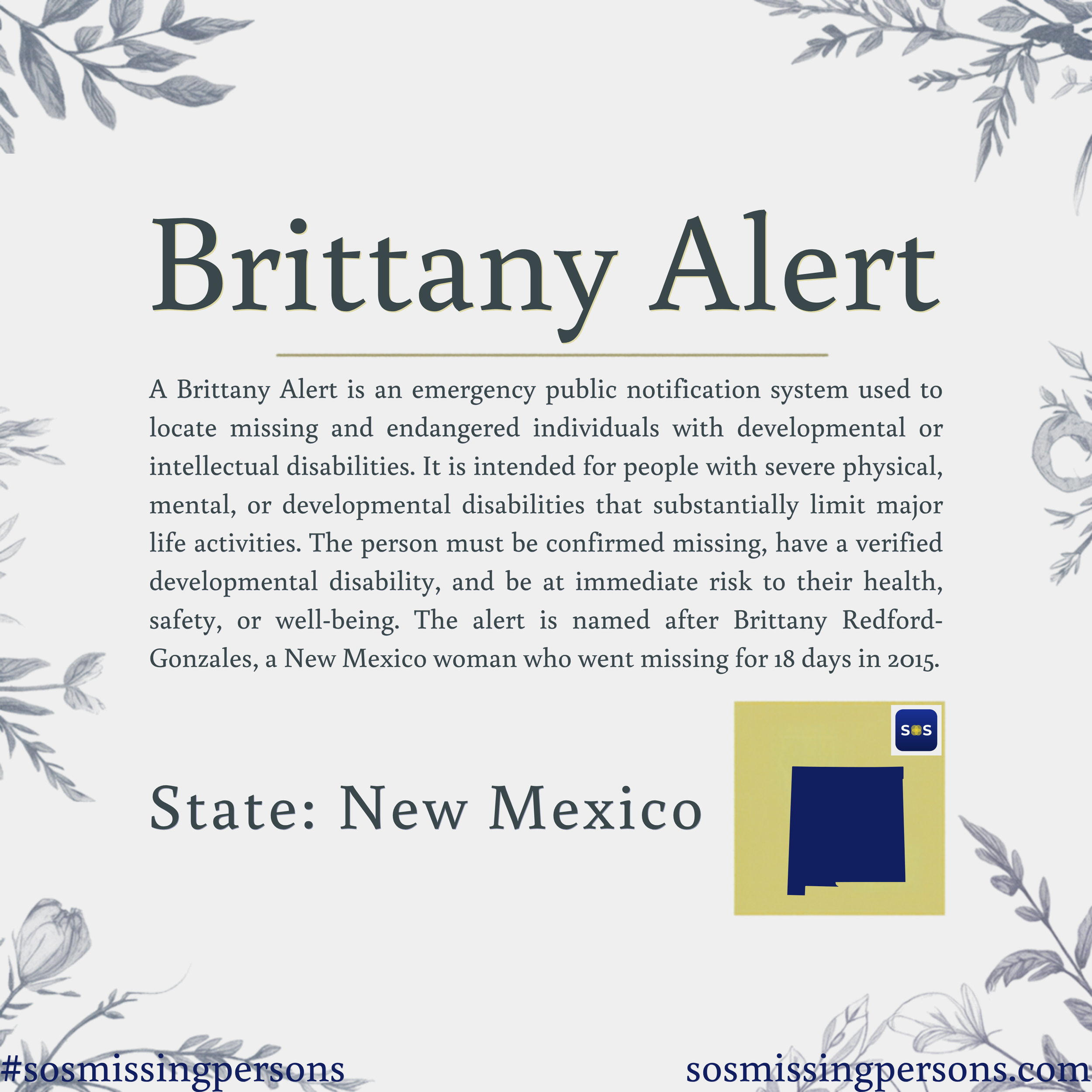 A Brittany Alert is an emergency public notification system used to locate missing and endangered individuals with developmental or intellectual disabilities. It is intended for people with severe physical, mental, or developmental disabilities that 