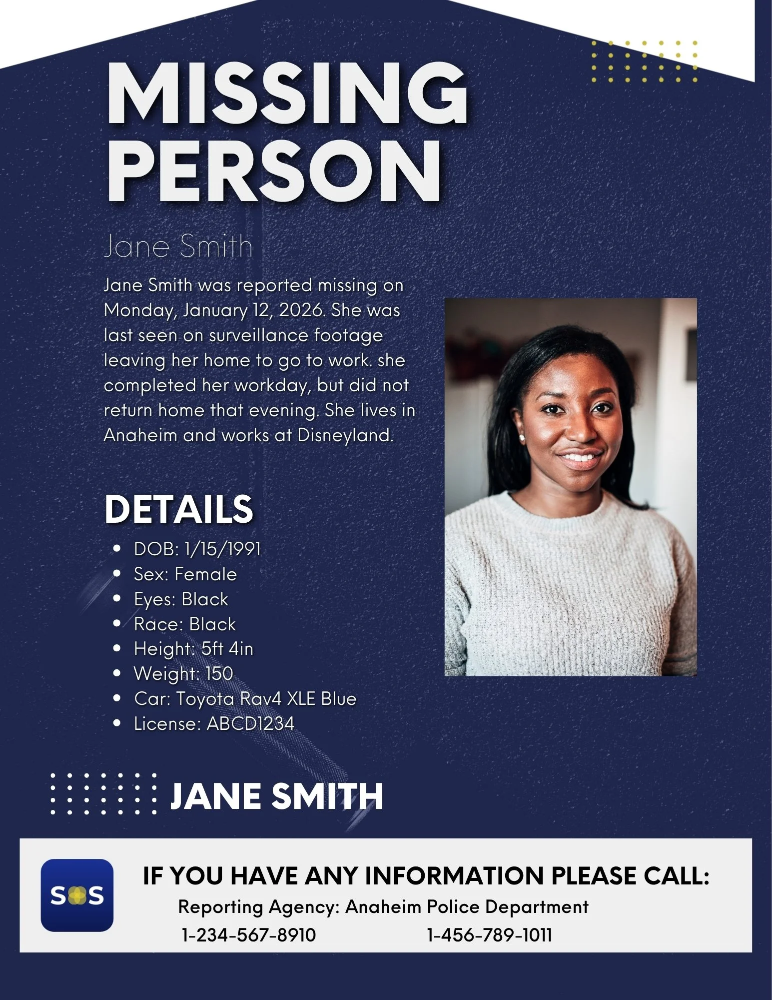 Website Flyer Example 1.jpg