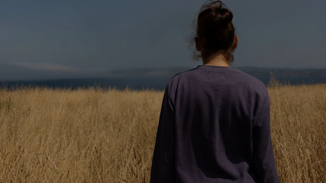 A woman with dark hair in a bun, wearing a purple long-sleeve shirt, standing in a field of tall, dry grass, facing away from the camera, looking toward the horizon under a dark sky.