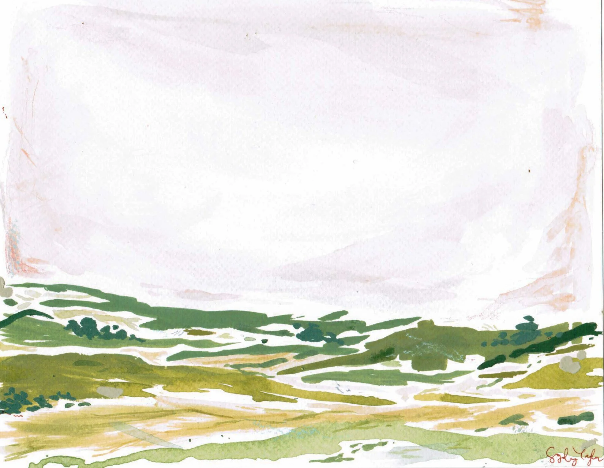 Image (14).jpg